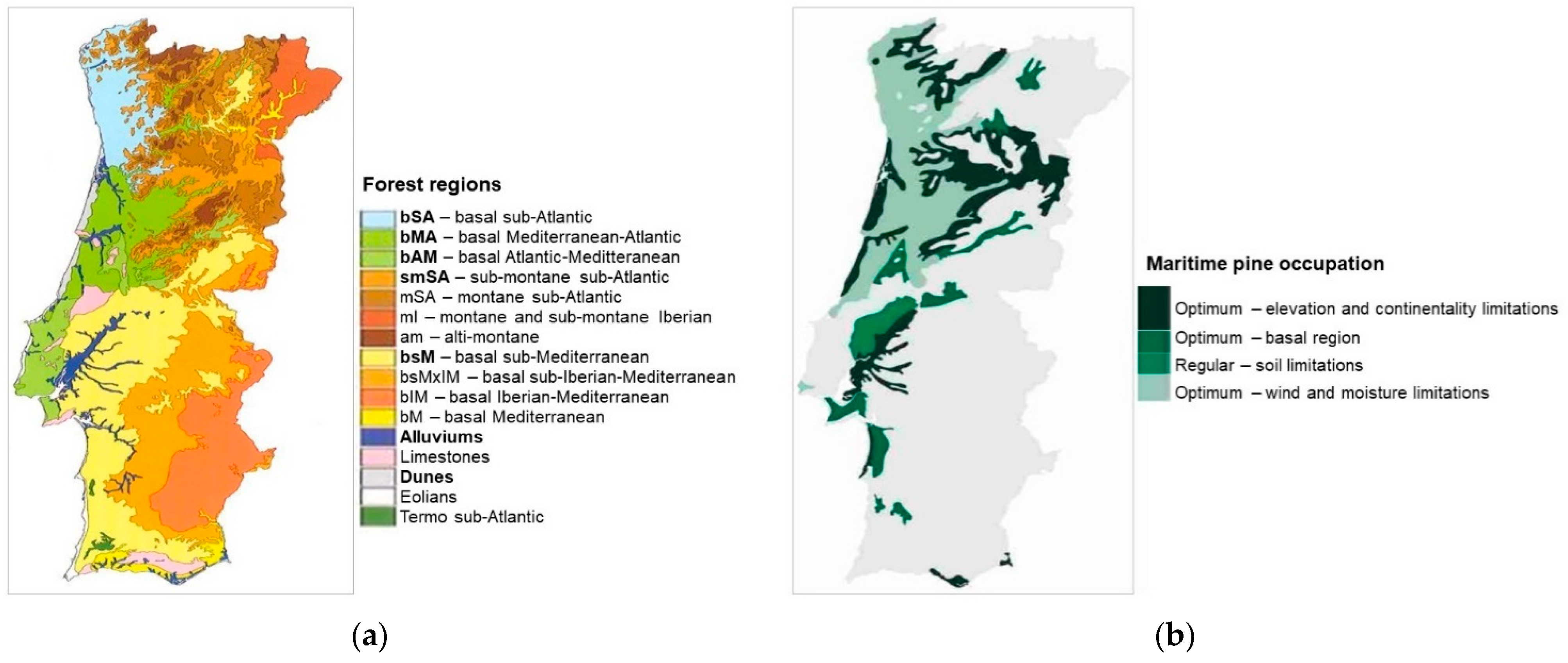 Forests 12 00368 g002 Forests 12 00368 g002