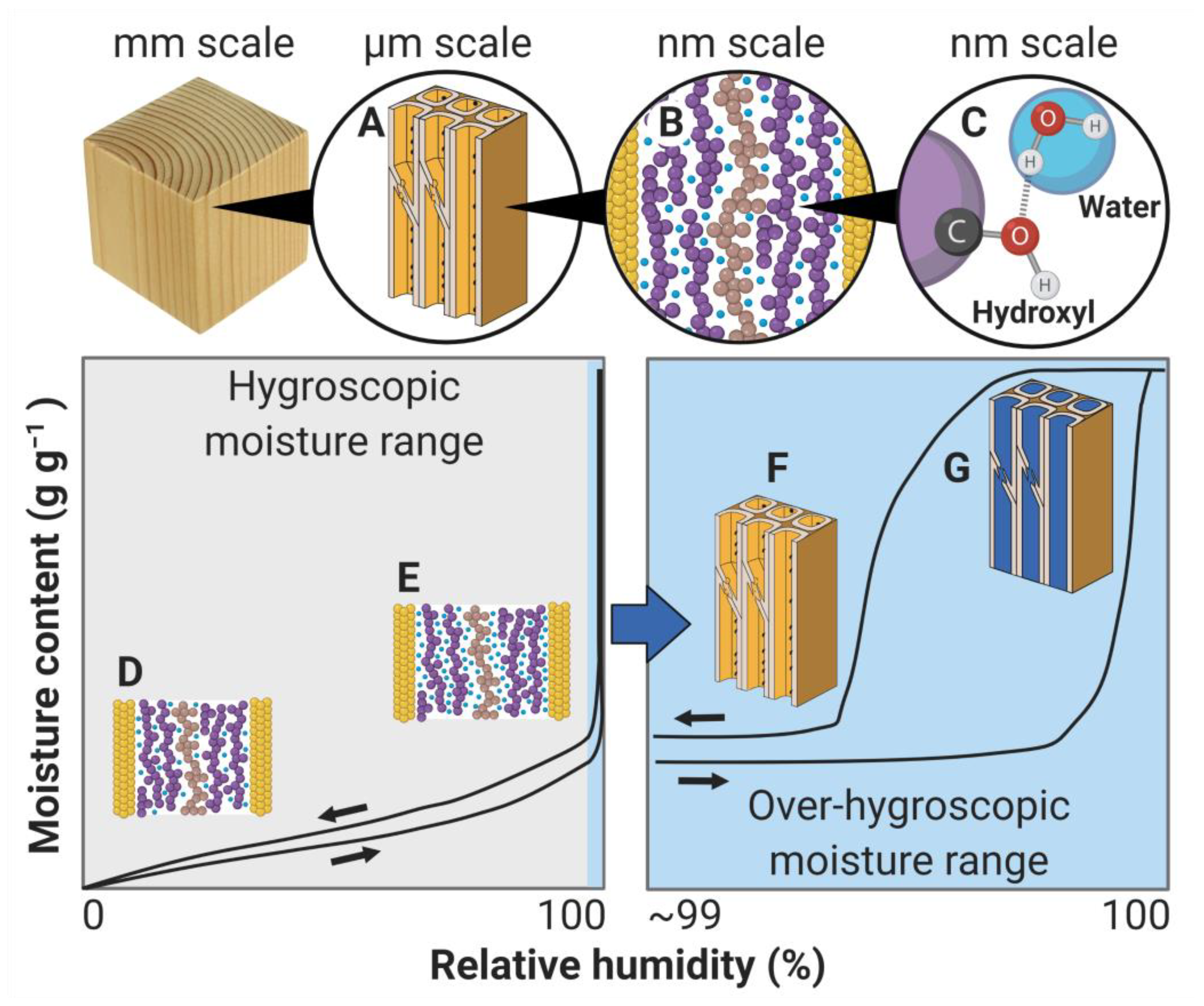 Forests 12 00372 g002 Forests 12 00372 g002