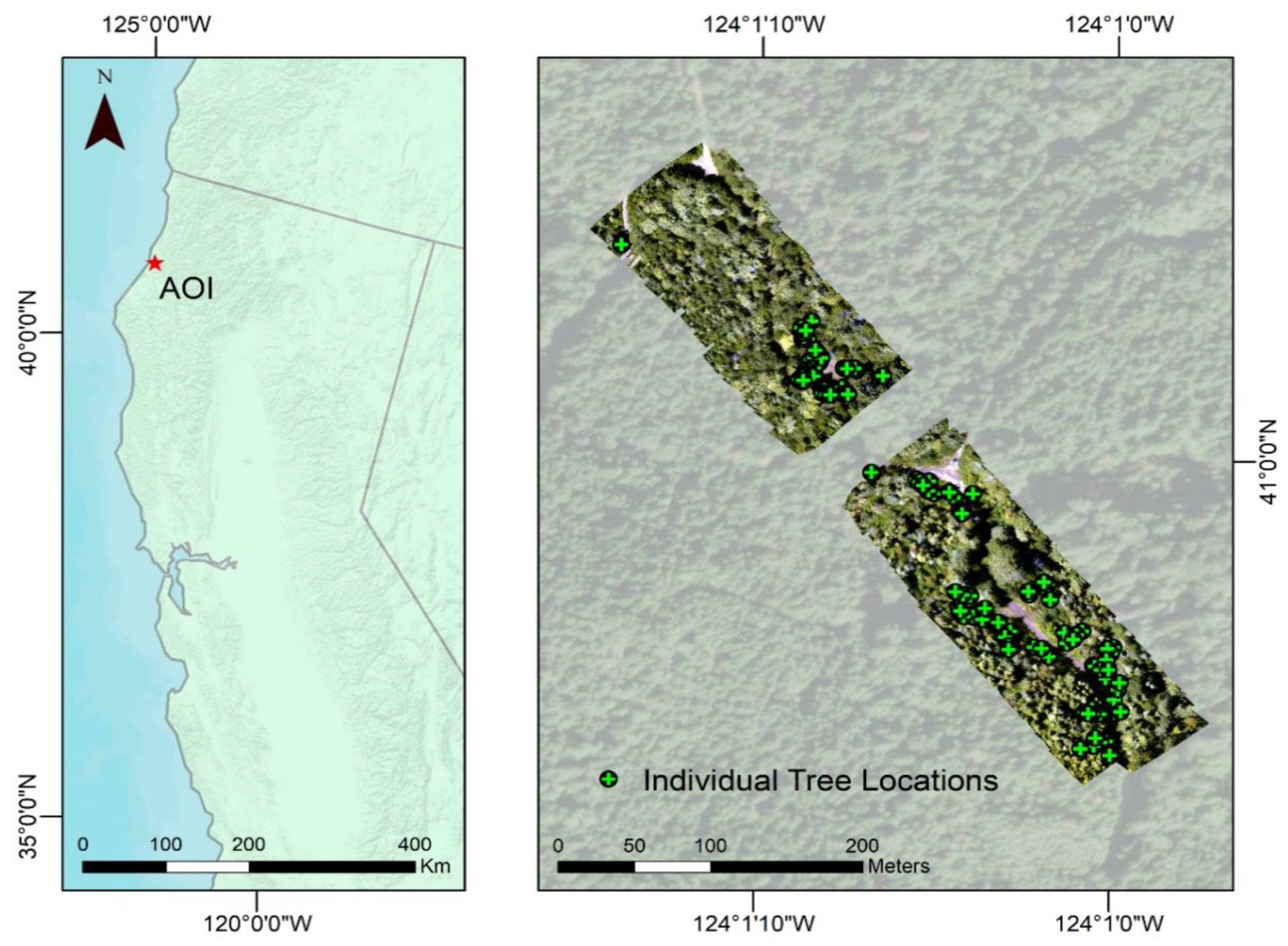 Forests 12 00378 g001 Forests 12 00378 g001