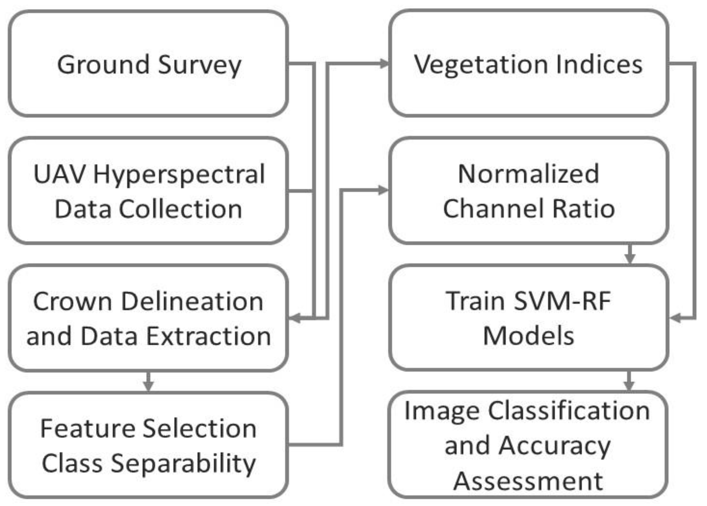 Forests 12 00378 g002 Forests 12 00378 g002