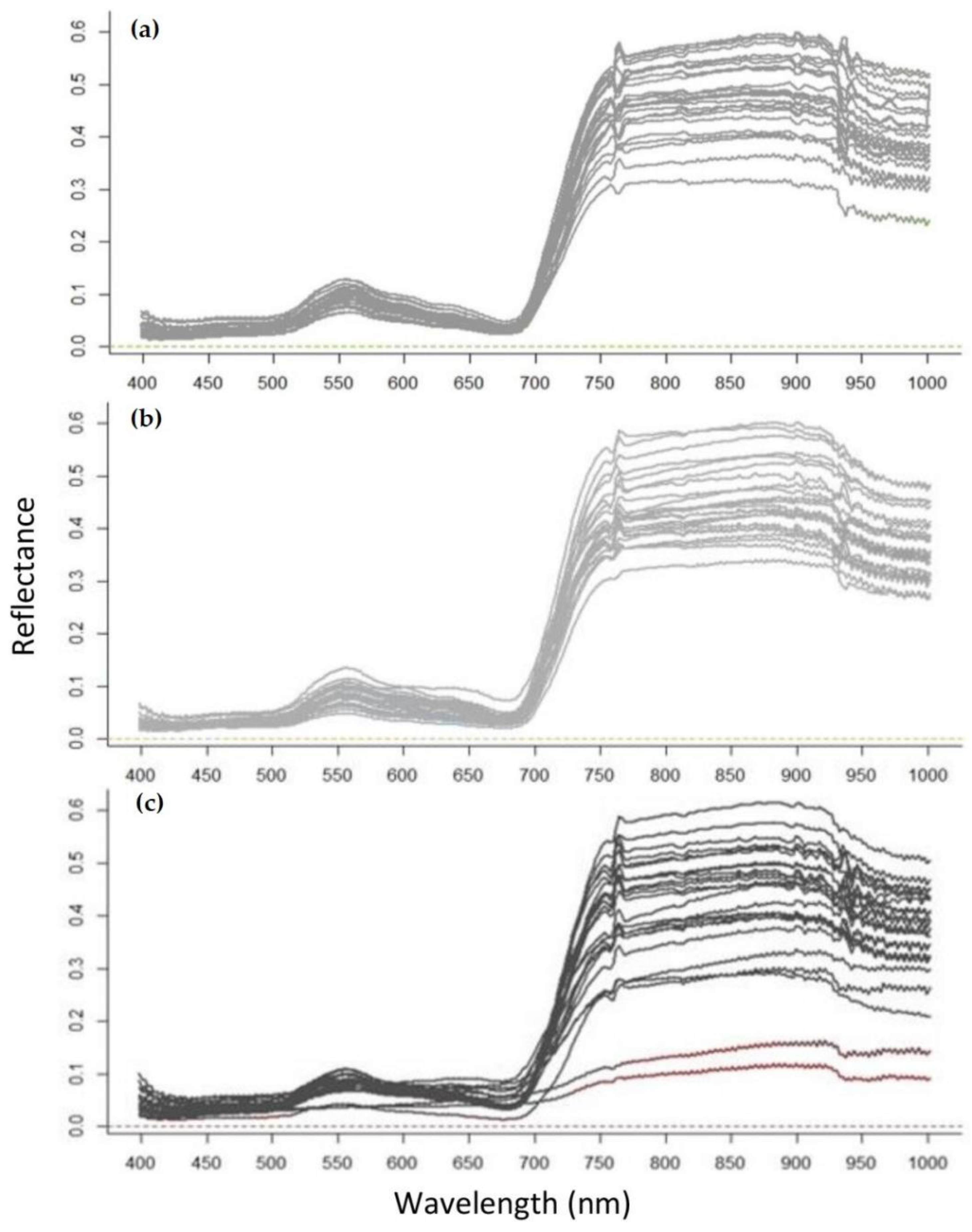 Forests 12 00378 g006 Forests 12 00378 g006
