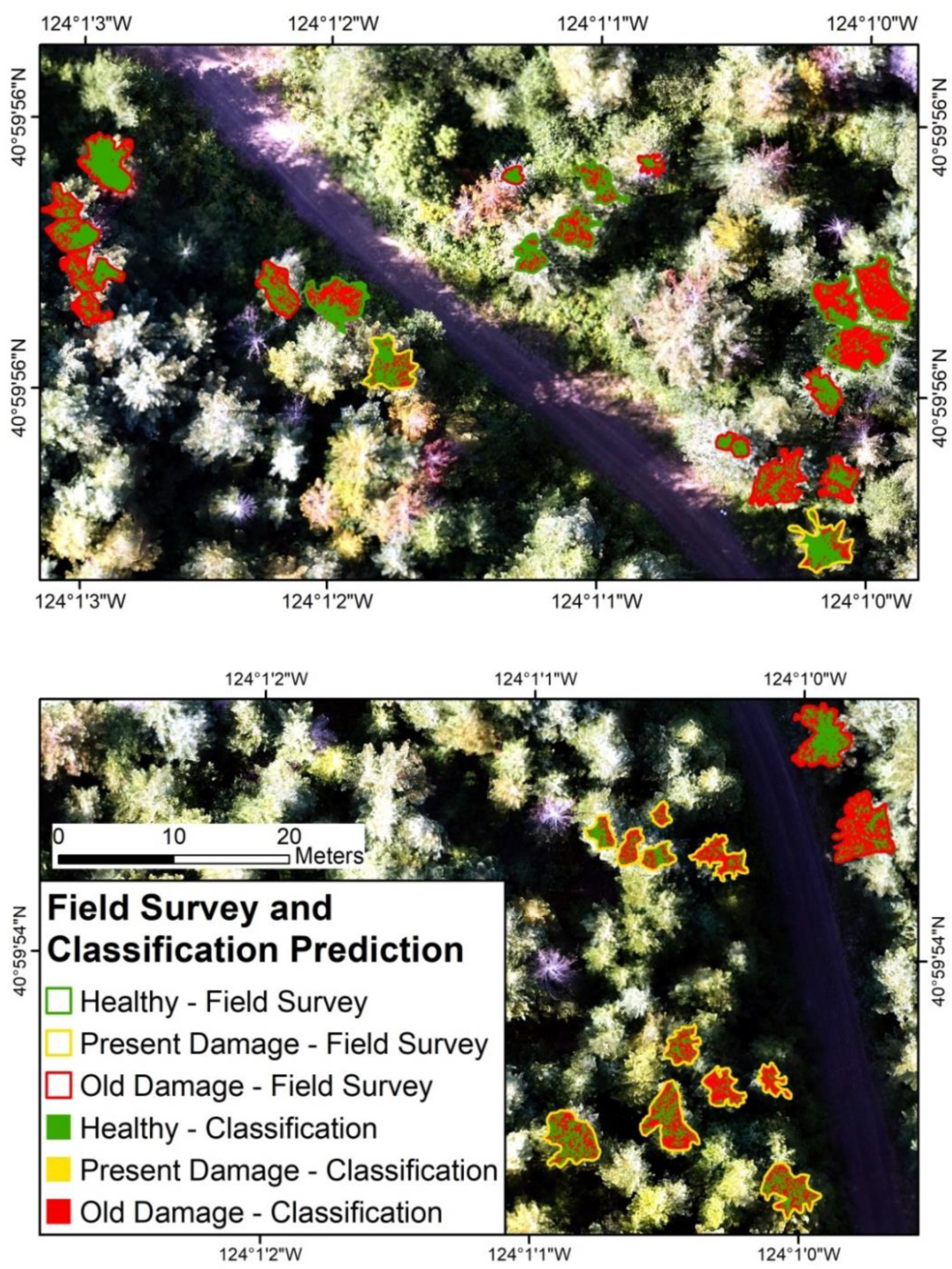 Forests 12 00378 g008 Forests 12 00378 g008