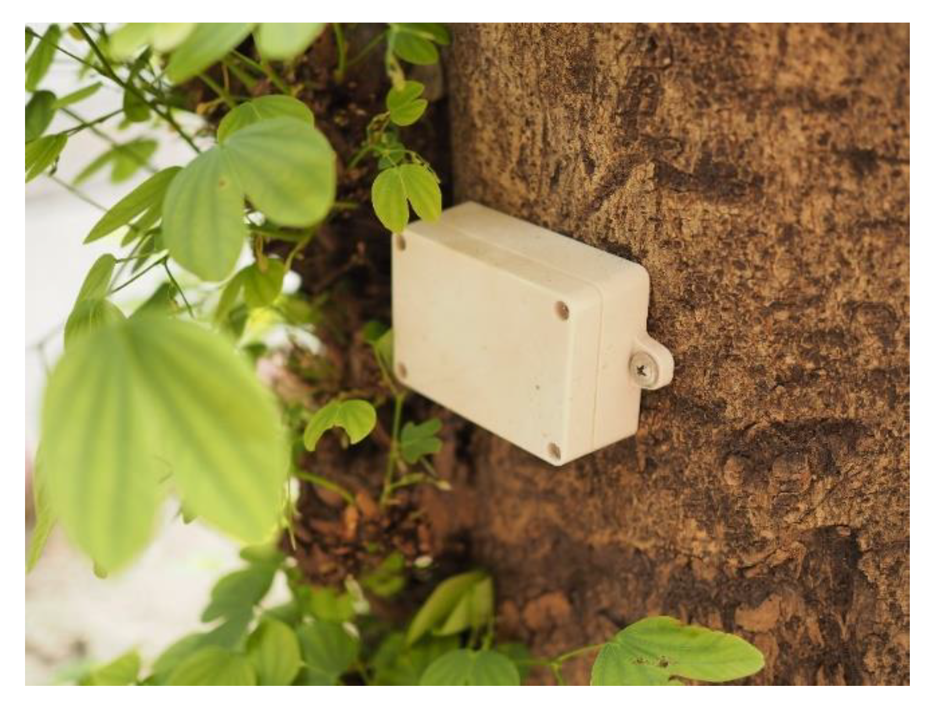 Forests 12 00379 g007 Forests 12 00379 g007