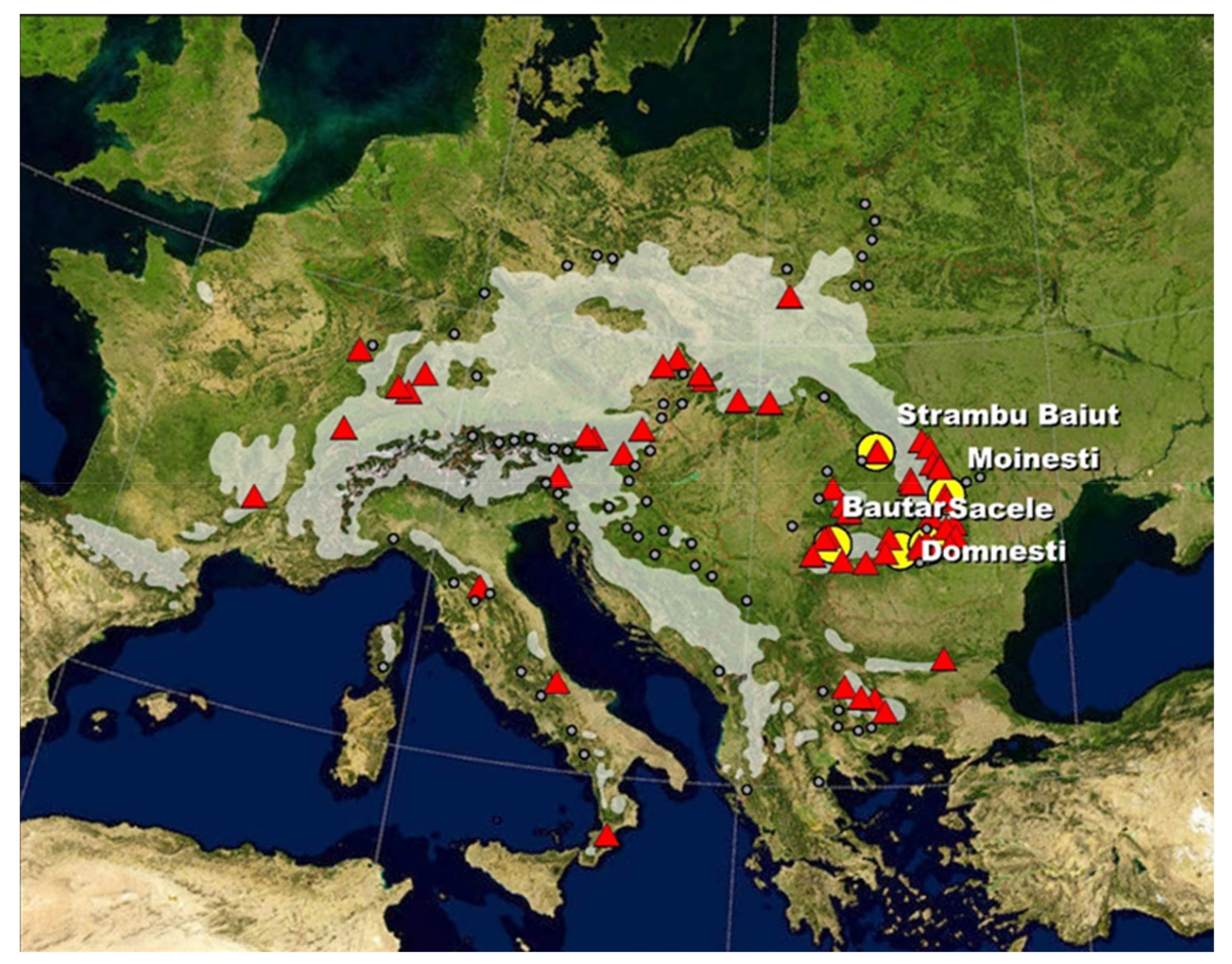 Forests Free Full Text Intraspecific Growth Response To Drought Of Abies Alba In The Southeastern Carpathians Html