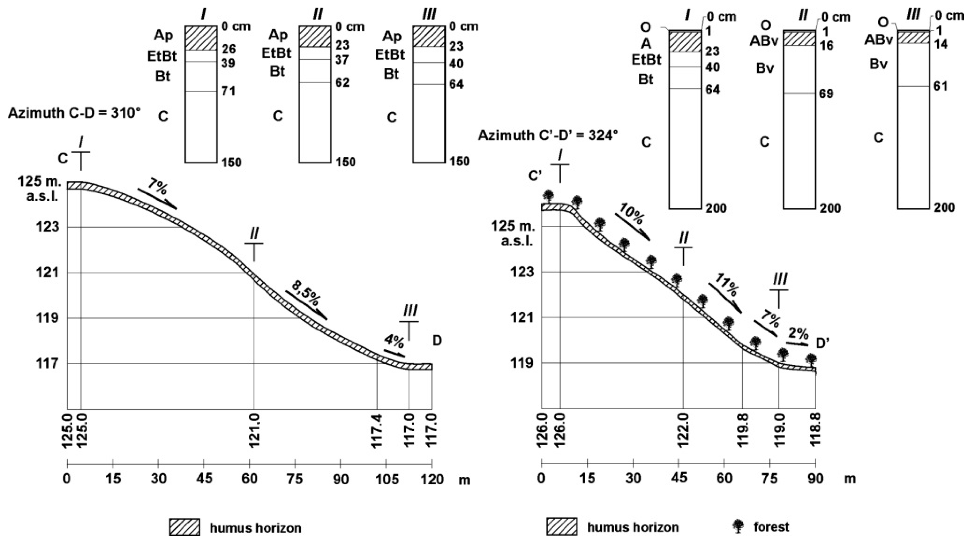 Forests 12 00390 g002 Forests 12 00390 g002