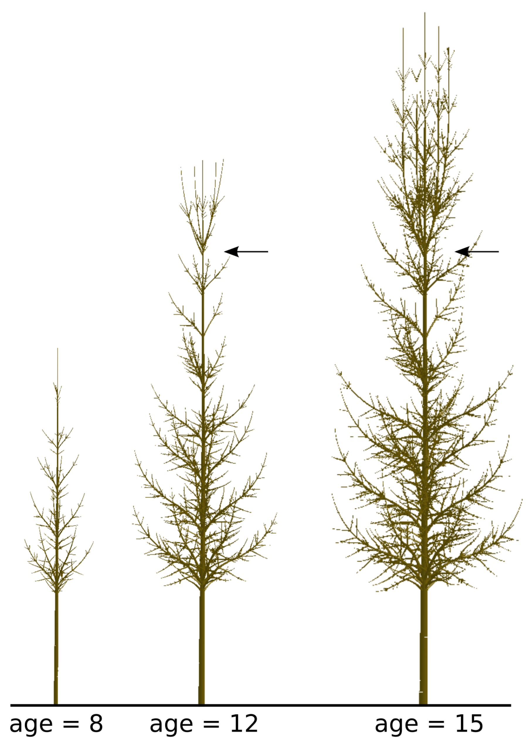 Forests 12 00391 g005