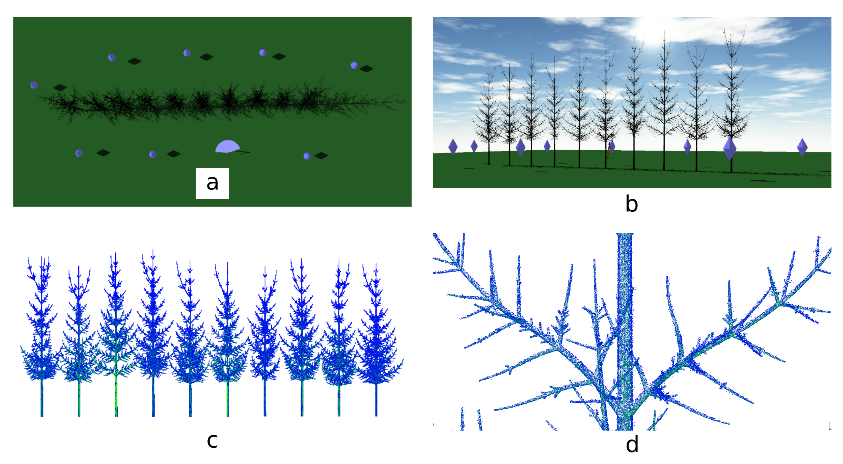 Forests 12 00391 g006