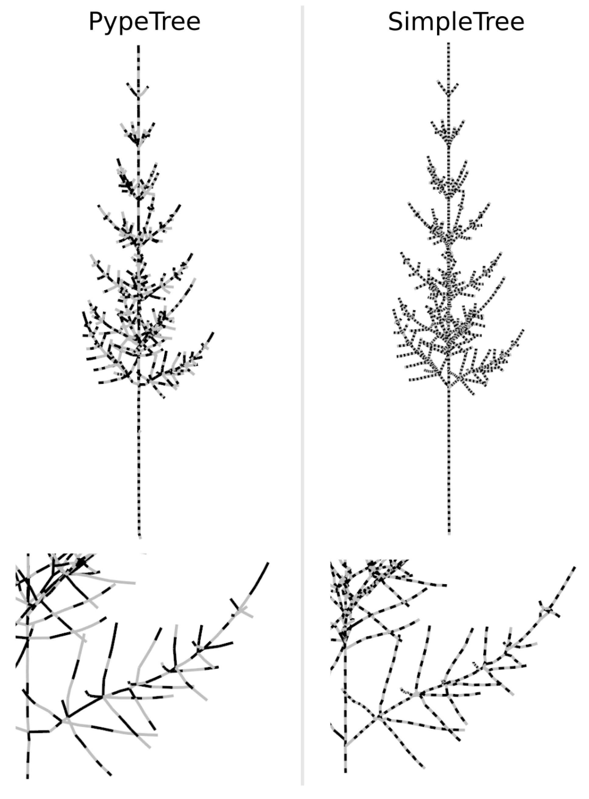 Forests 12 00391 g007