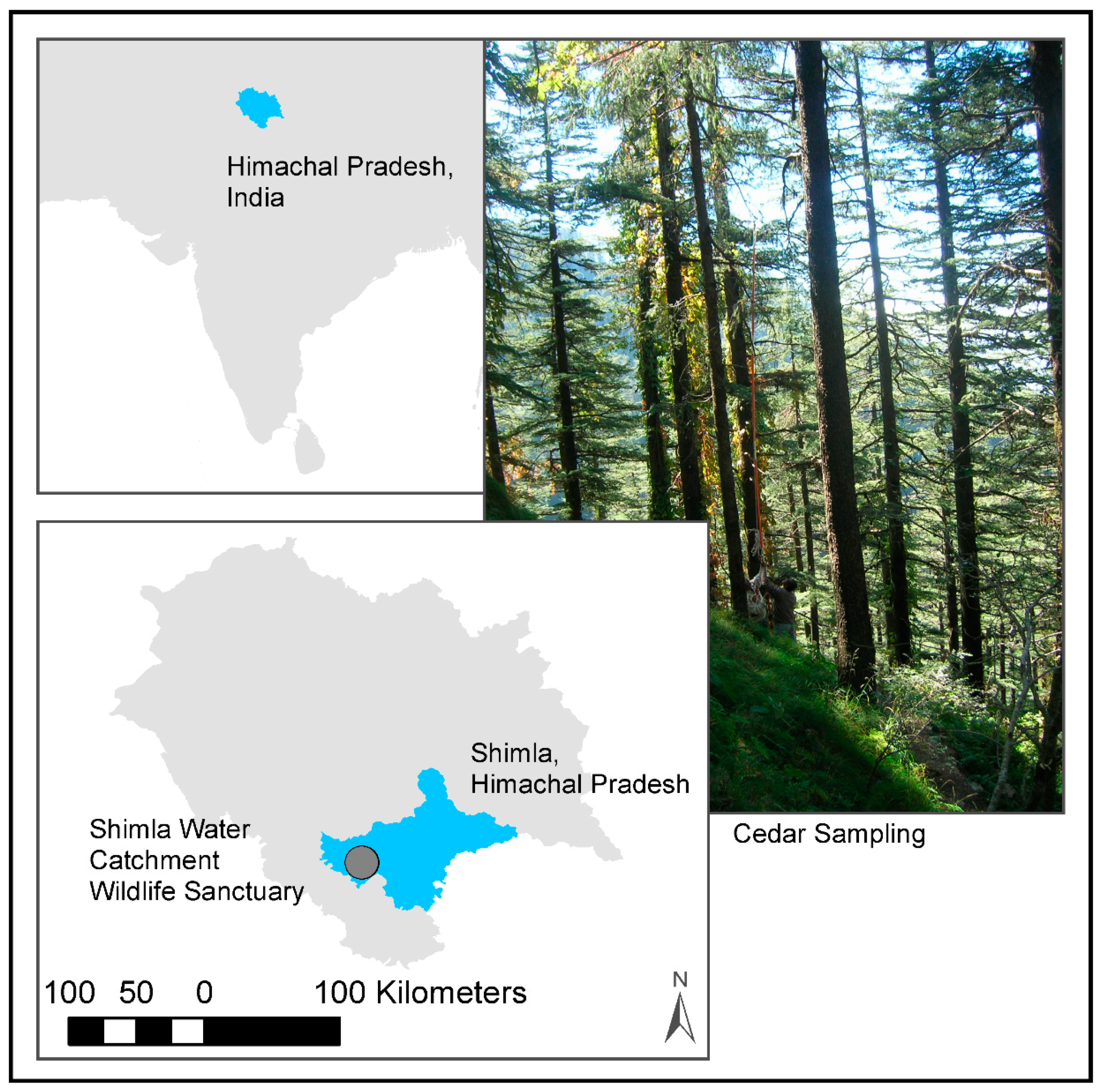 Forests 12 00400 g001 Forests 12 00400 g001