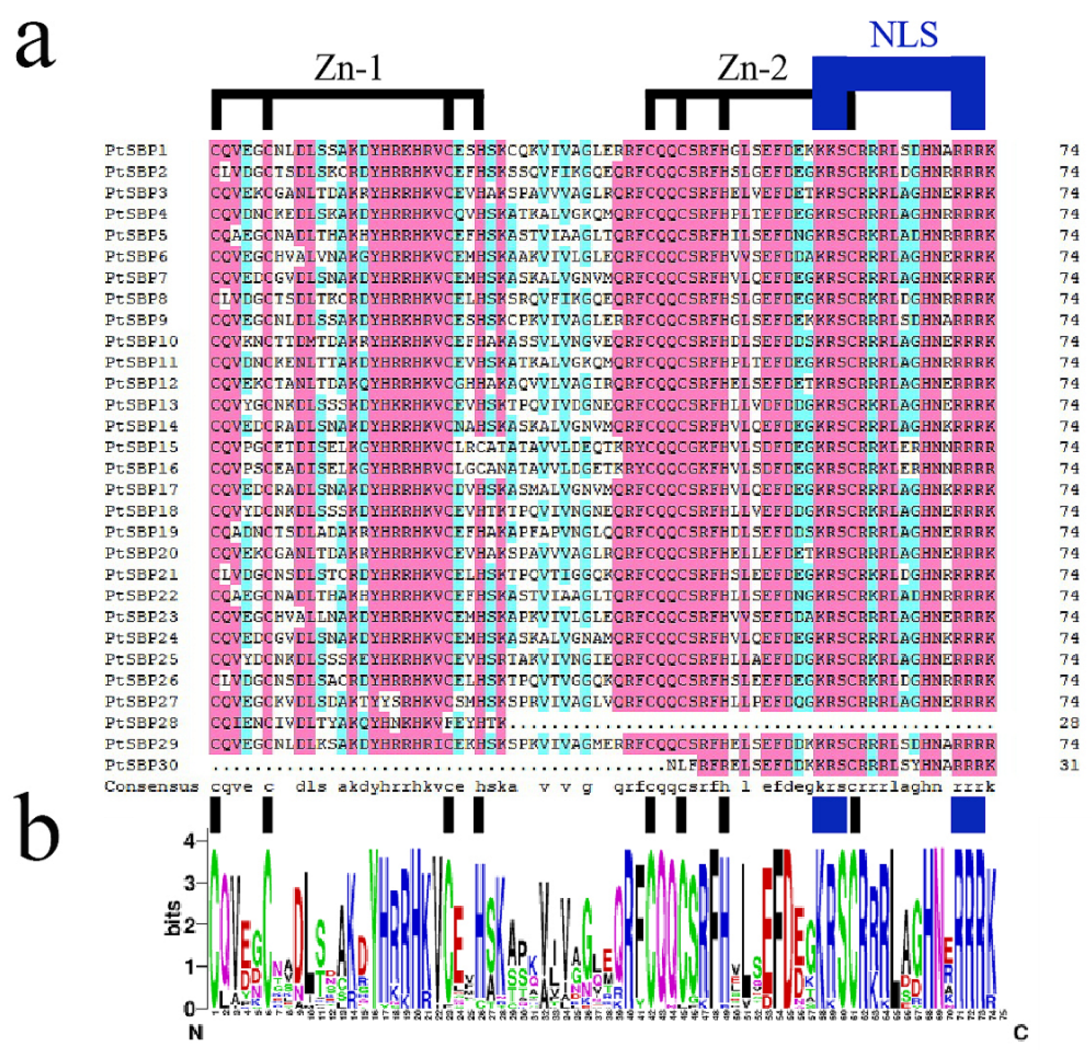 Forests 12 00413 g001 Forests 12 00413 g001