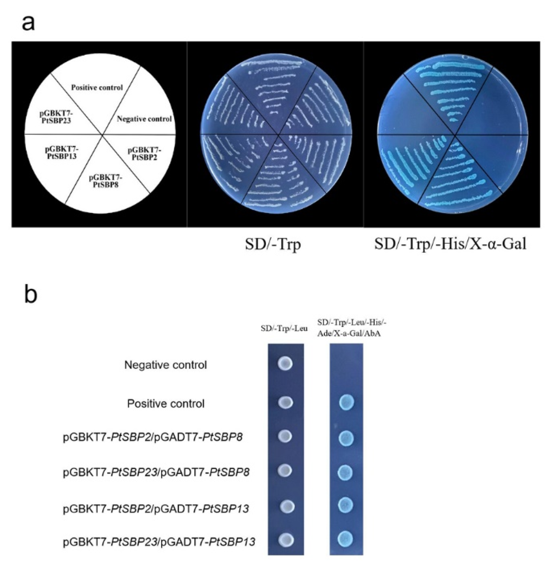 Forests 12 00413 g011 Forests 12 00413 g011