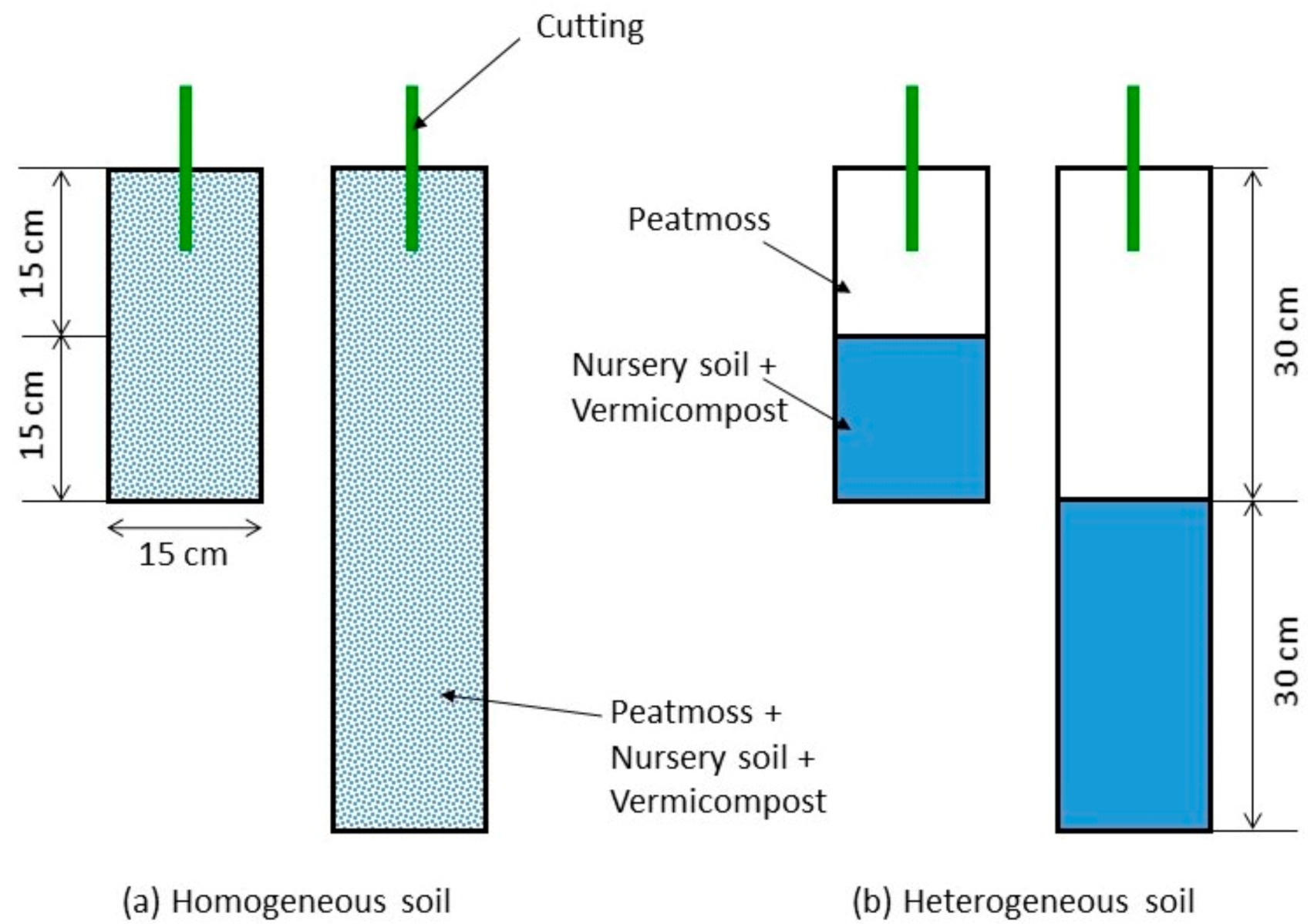 Forests 12 00418 g001 Forests 12 00418 g001