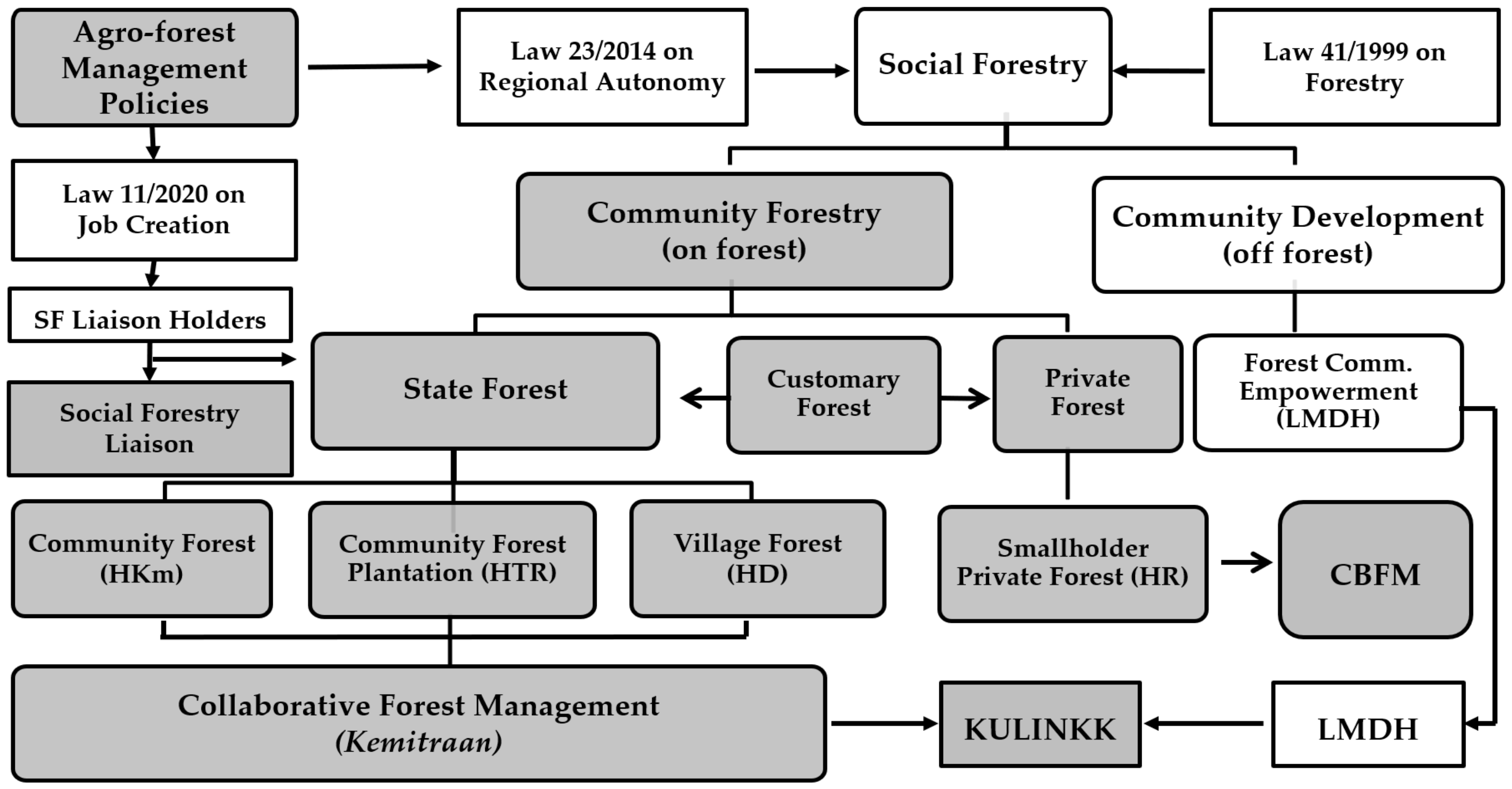 Forests 12 00419 g001