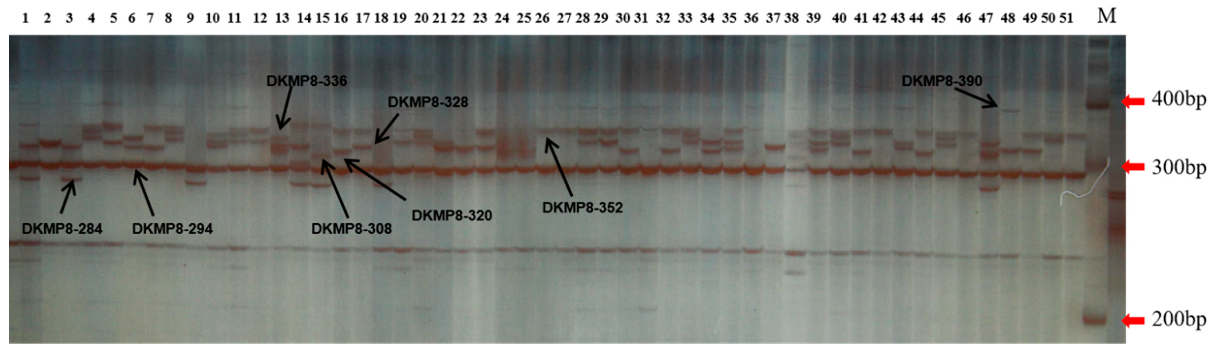 Forests 12 00422 g001 Forests 12 00422 g001