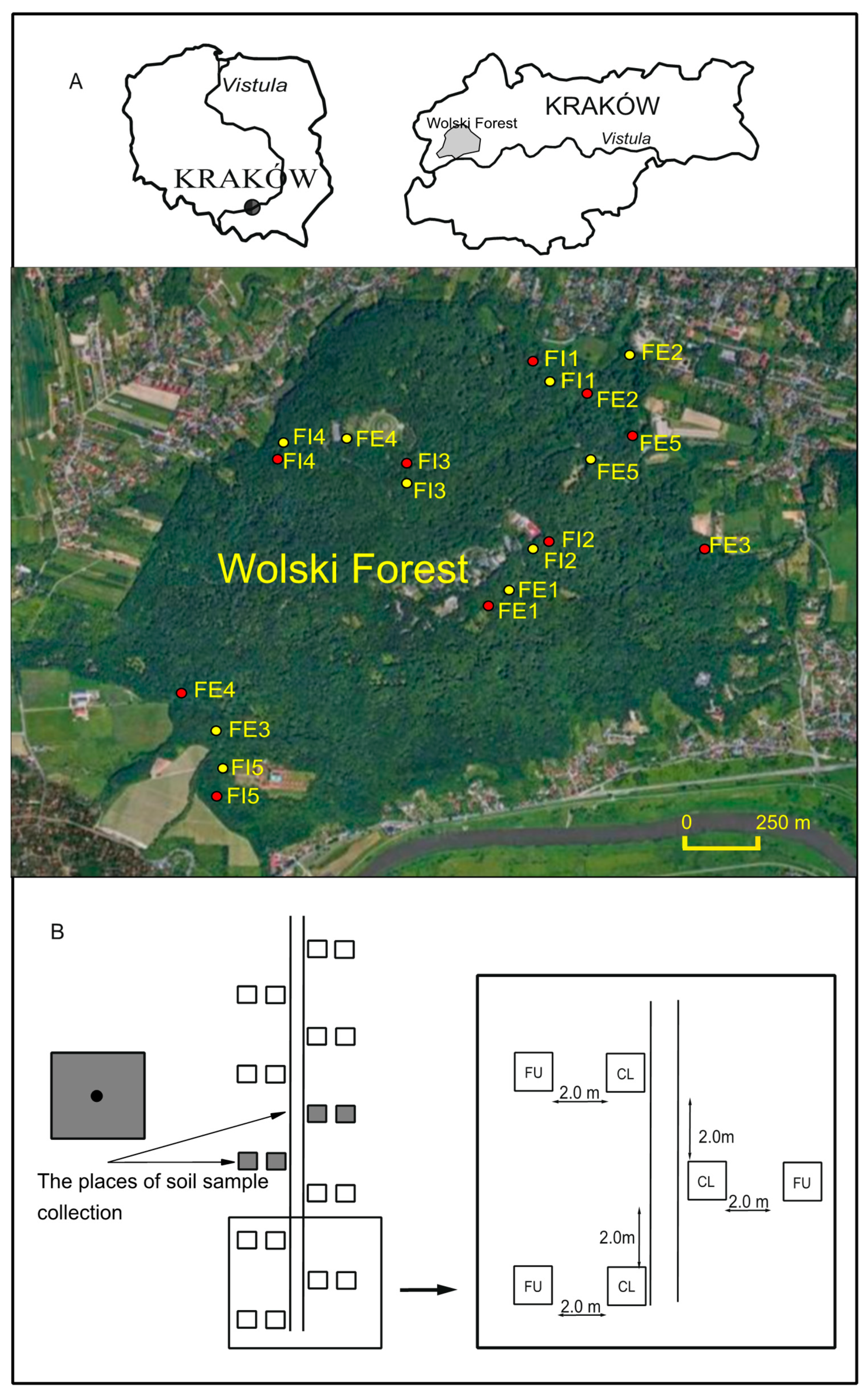 Forests 12 00423 g001