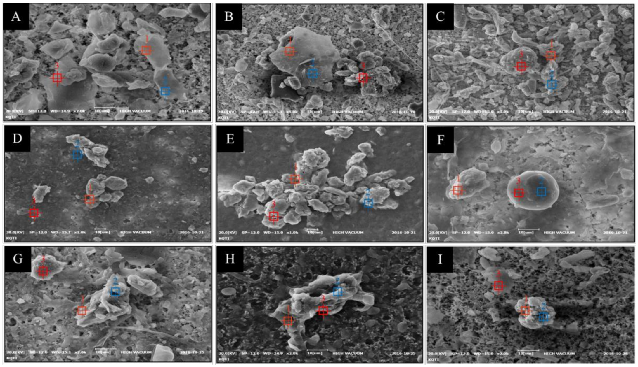 Forests 12 00438 g006