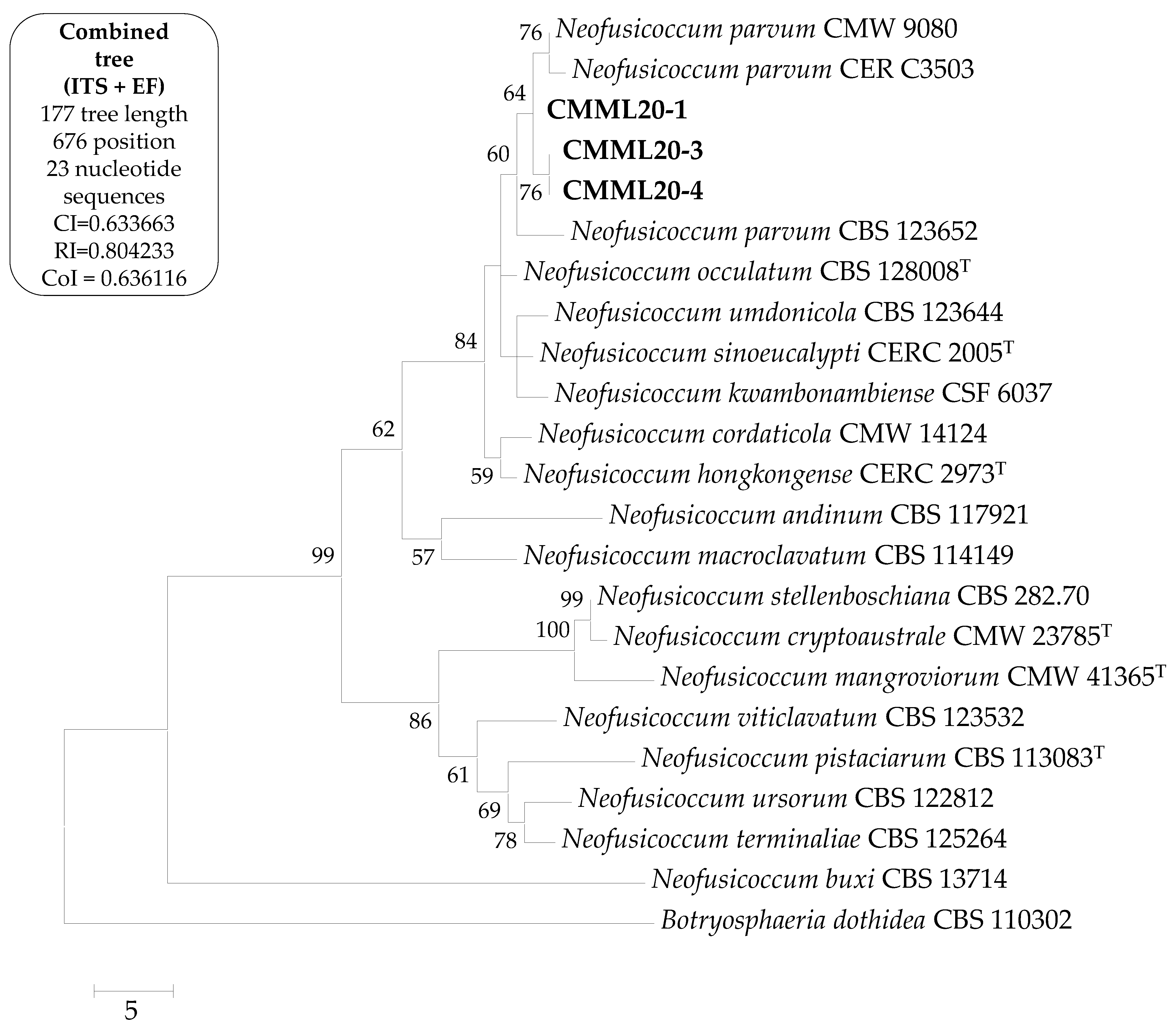 Forests 12 00440 g002 Forests 12 00440 g002