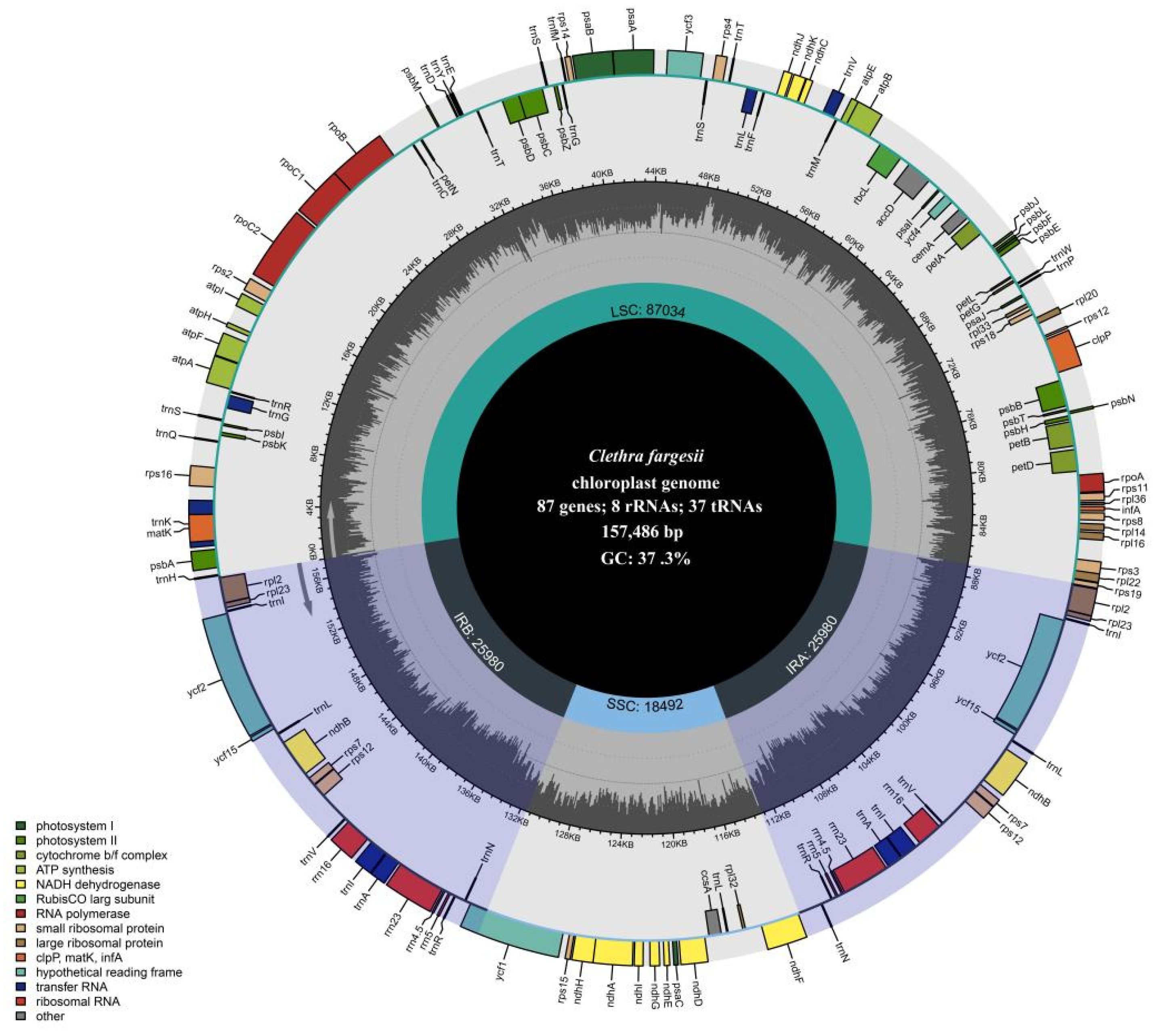 Forests 12 00441 g001 Forests 12 00441 g001