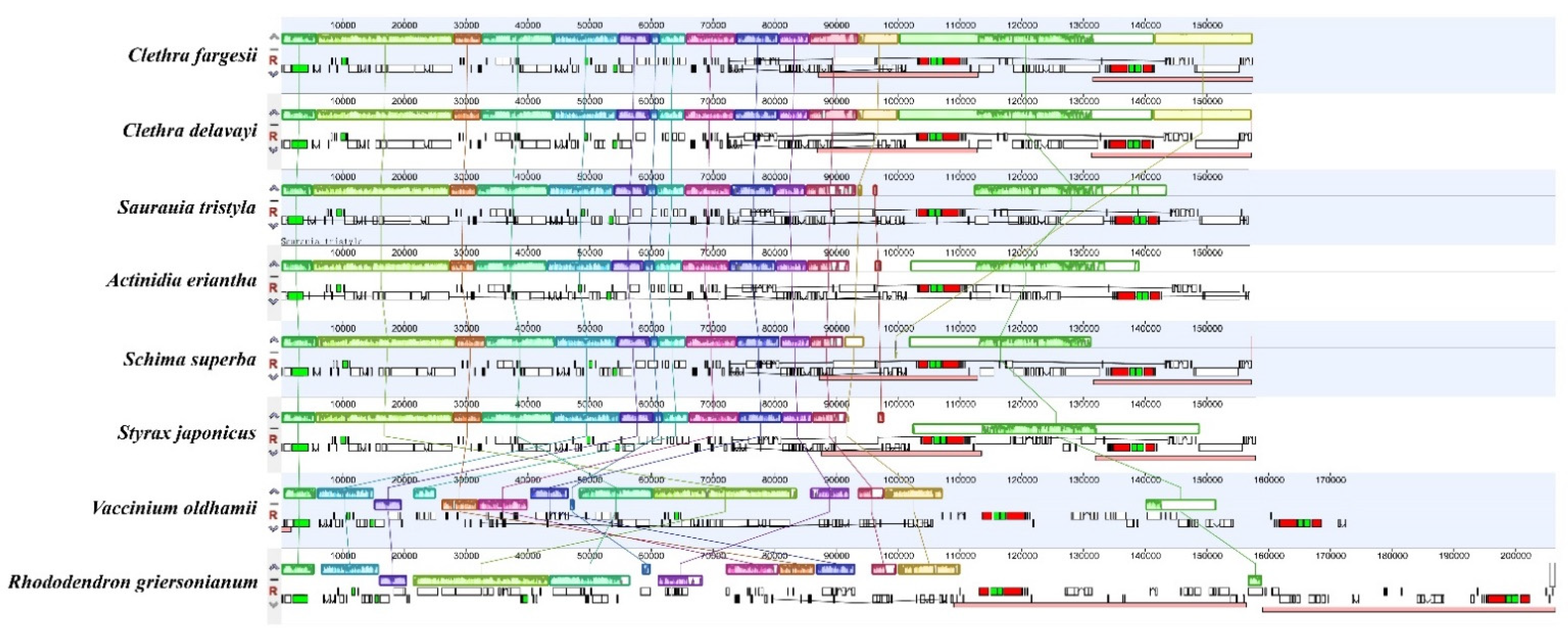 Forests 12 00441 g002 Forests 12 00441 g002