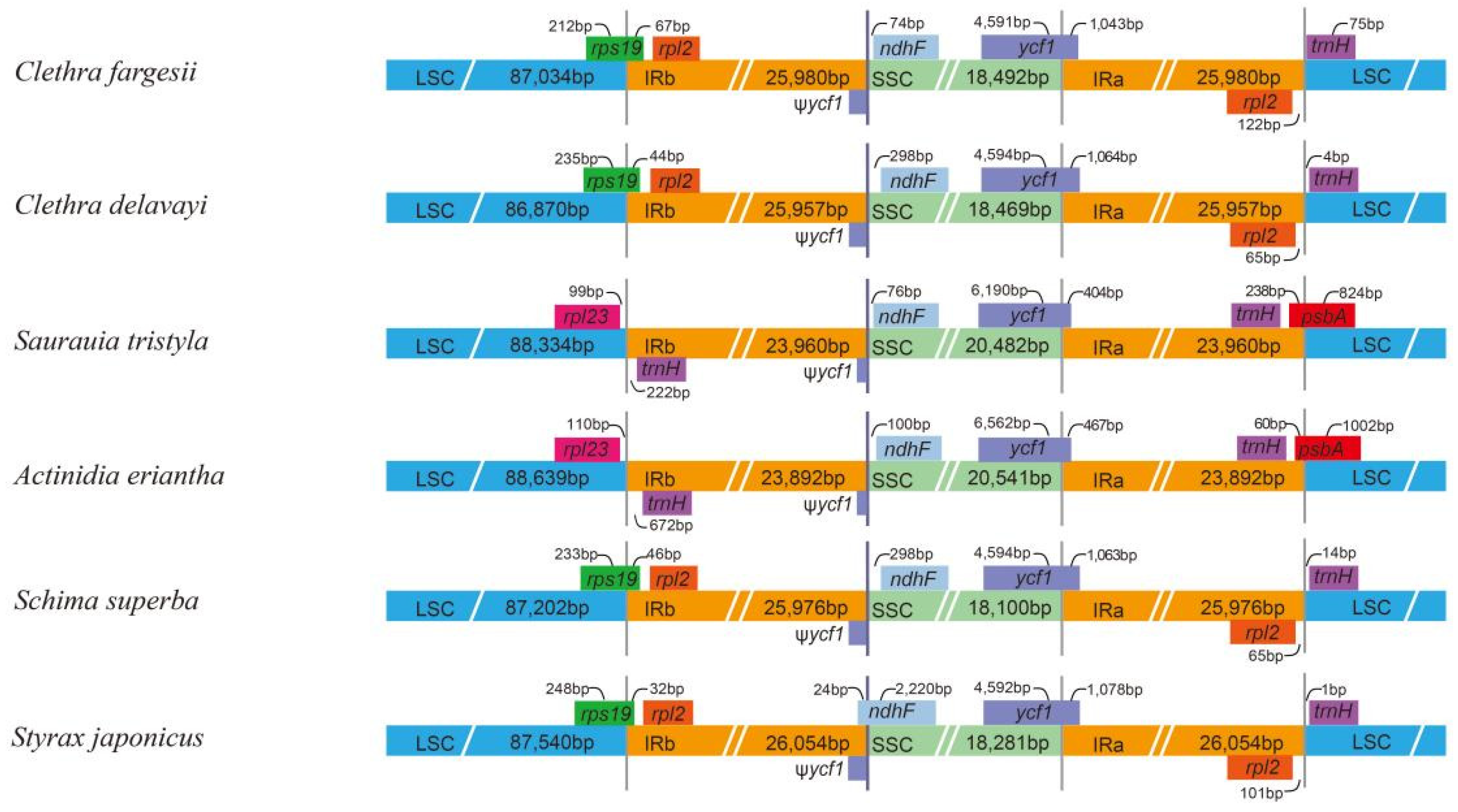 Forests 12 00441 g003 Forests 12 00441 g003