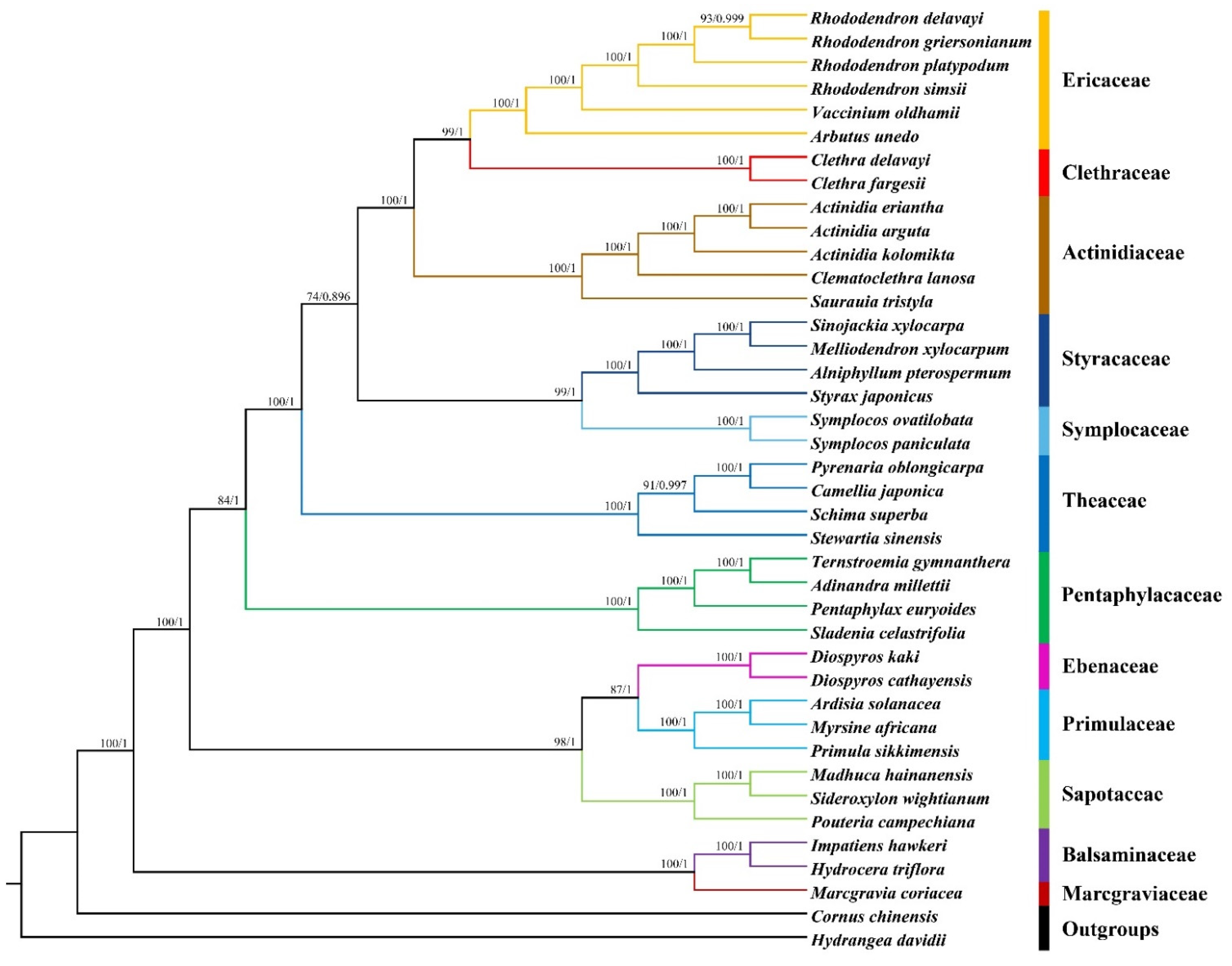 Forests 12 00441 g009 Forests 12 00441 g009