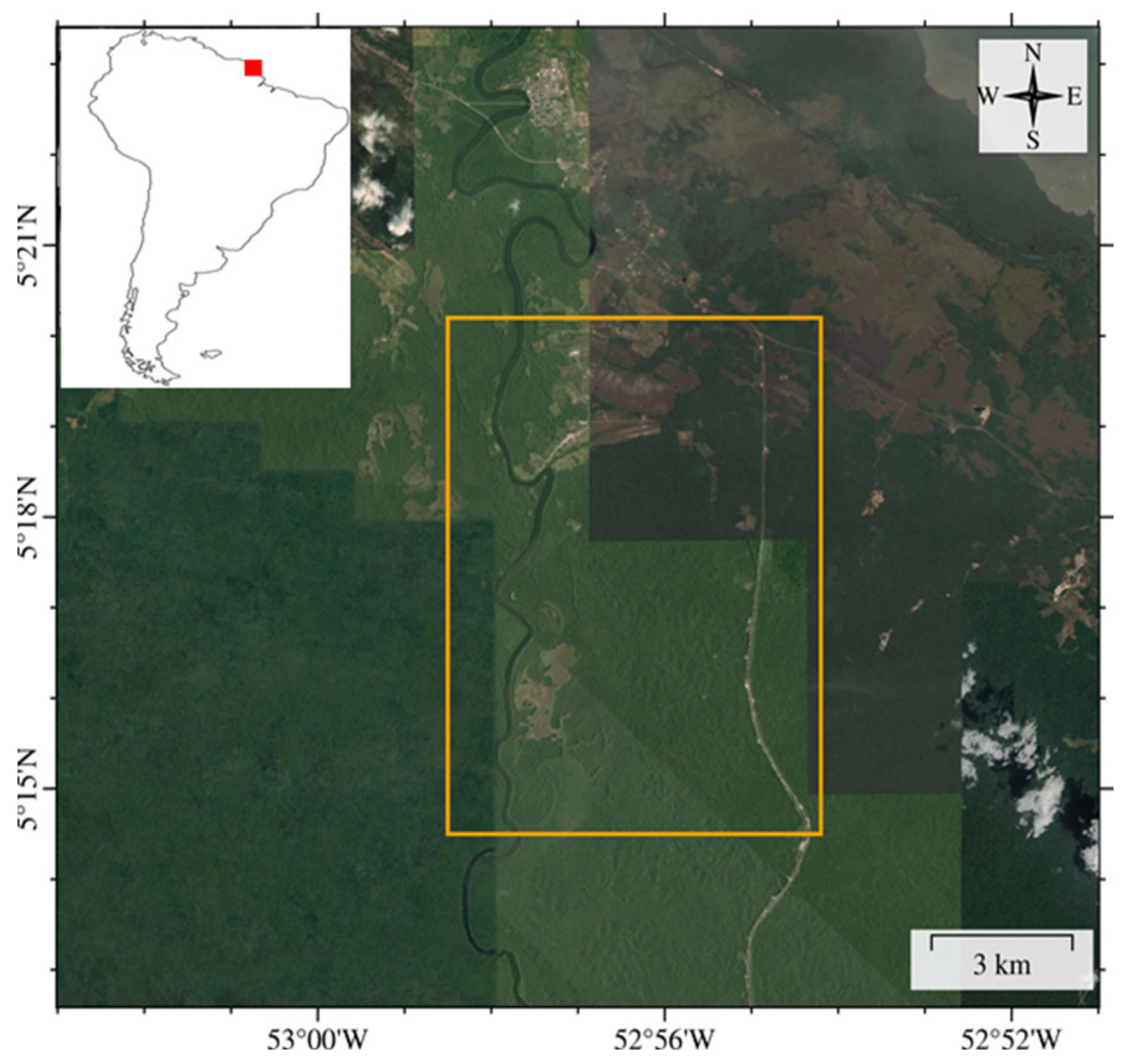 Forests 12 00444 g001