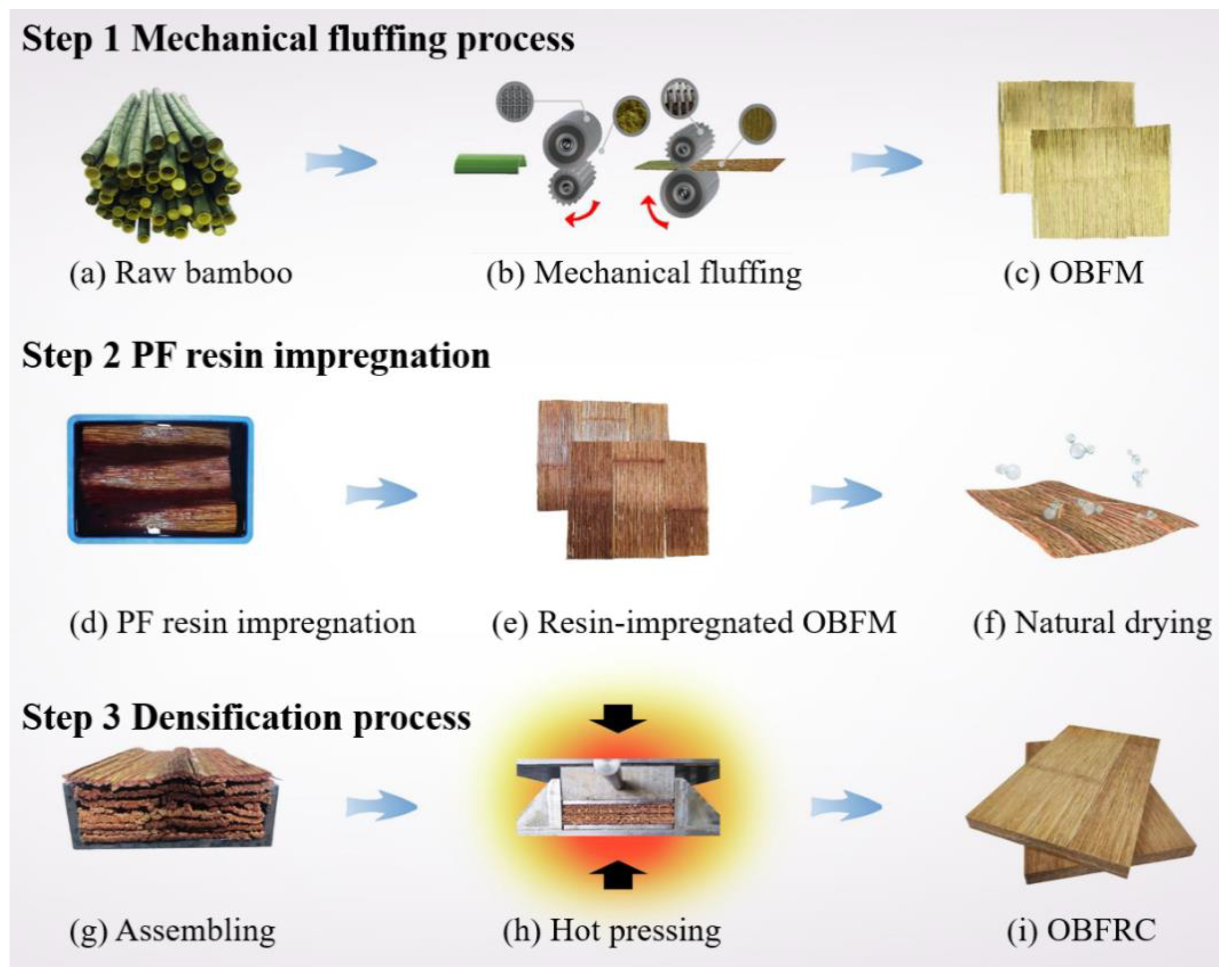 Forests 12 00446 g001 Forests 12 00446 g001