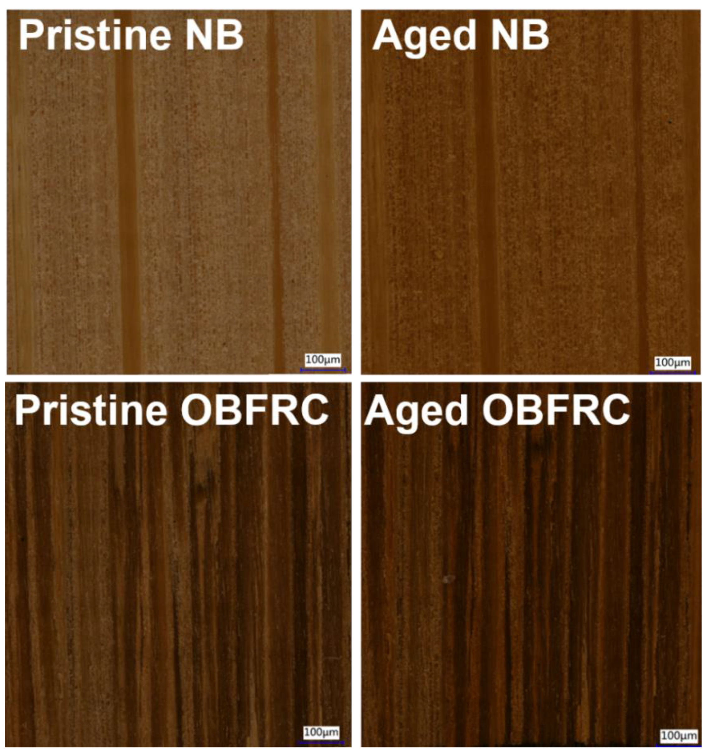 Forests 12 00446 g002 Forests 12 00446 g002