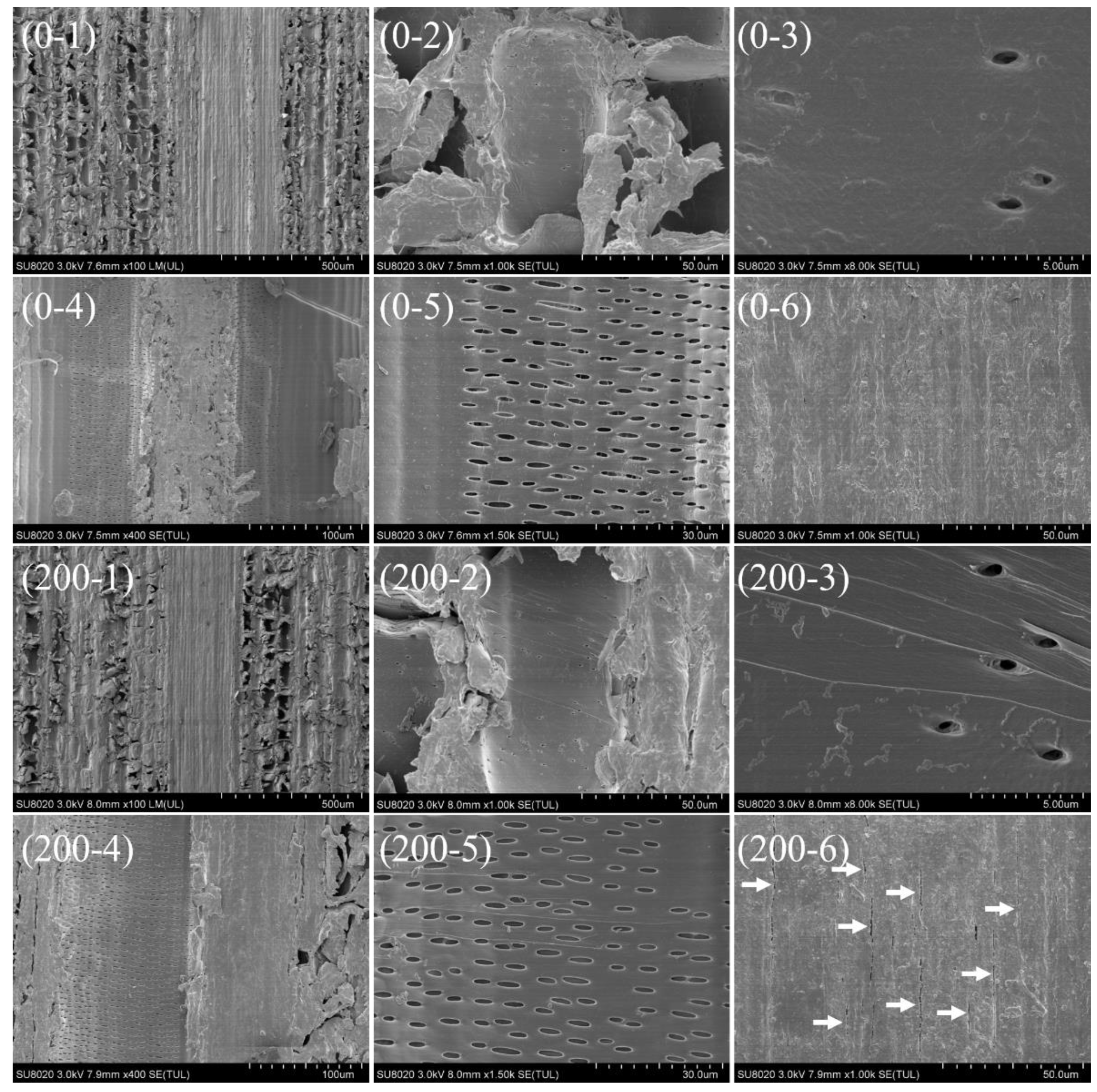 Forests 12 00446 g003 Forests 12 00446 g003