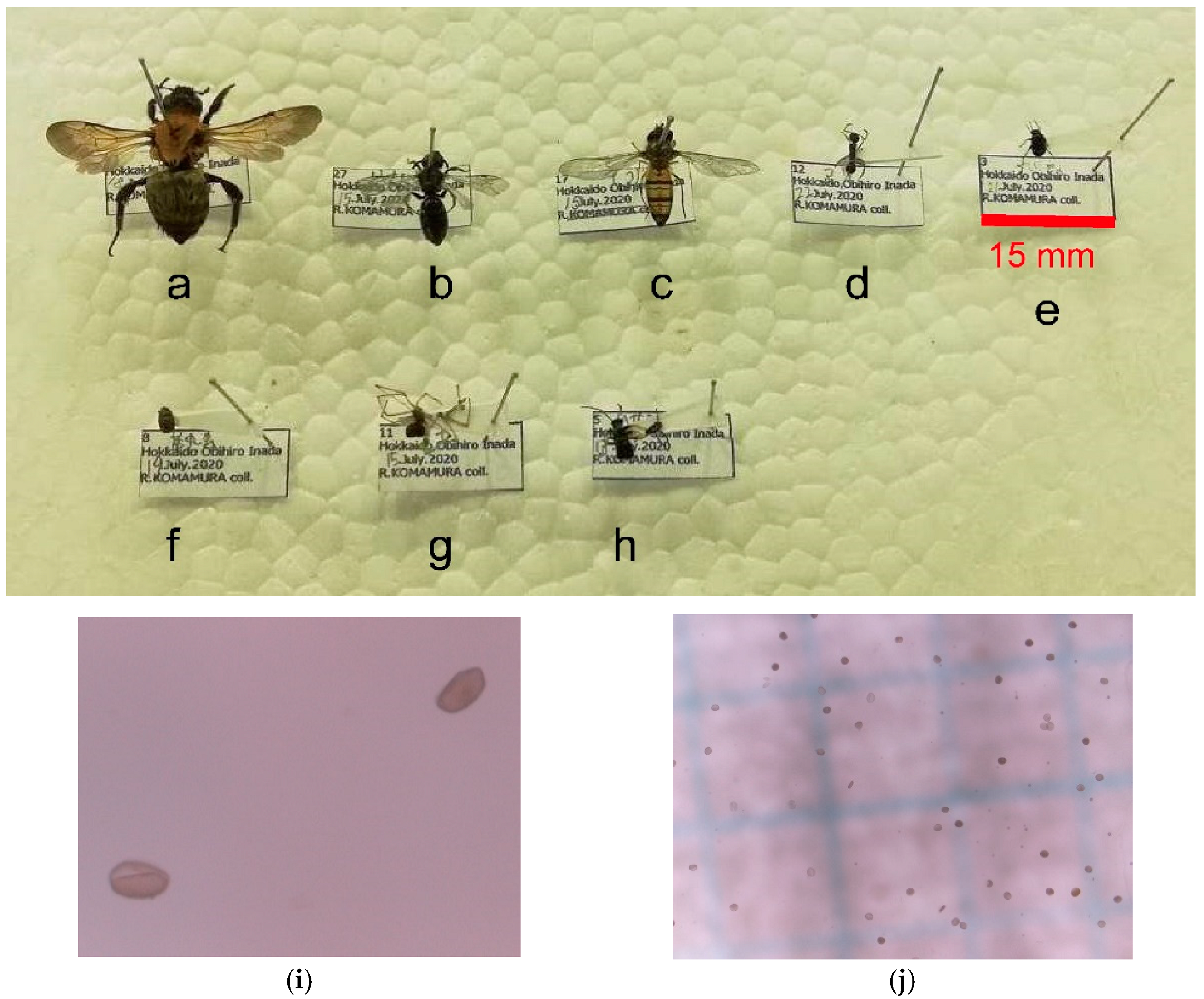 Forests 12 00452 g002 Forests 12 00452 g002