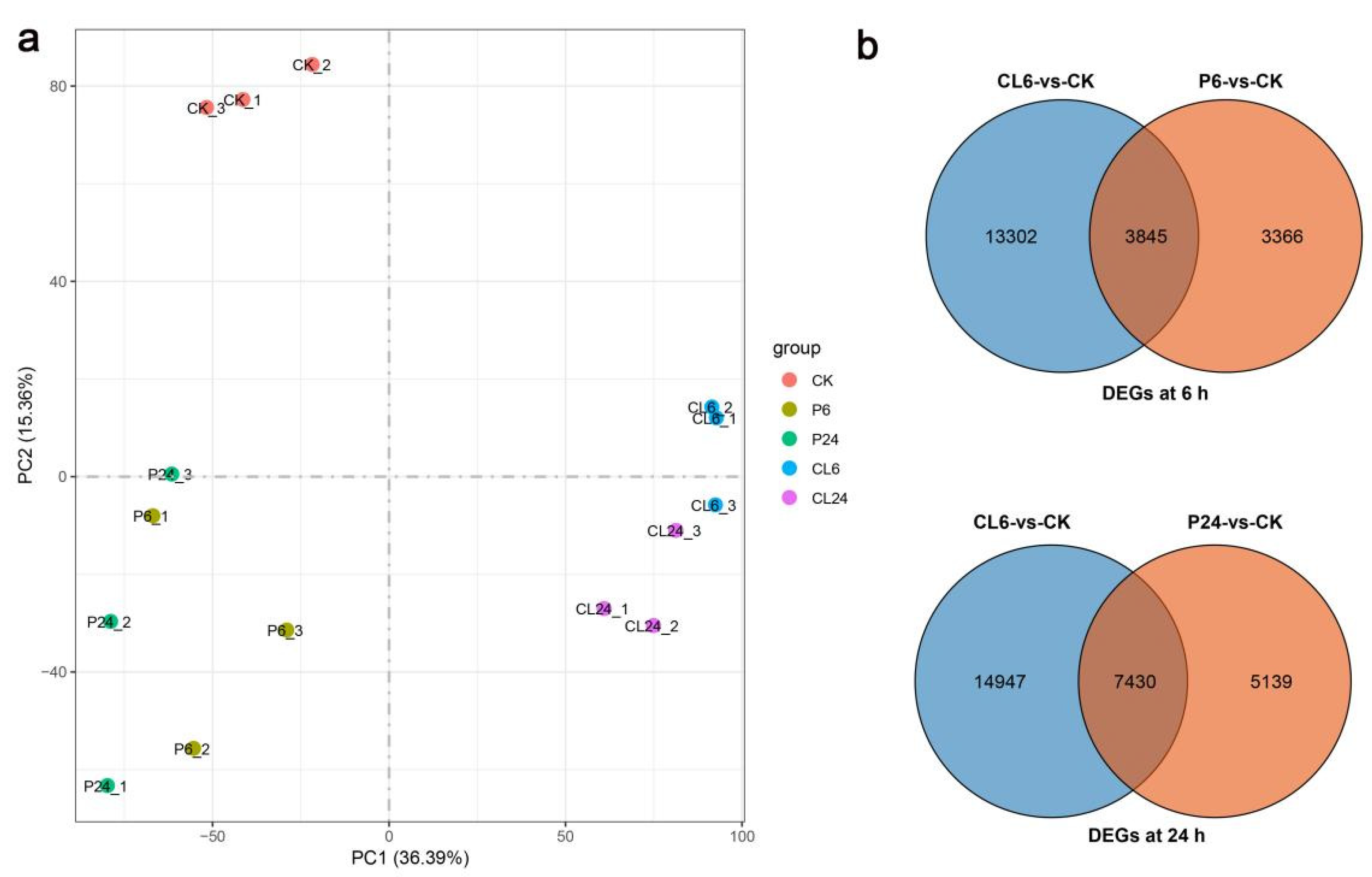 Forests 12 00454 g001