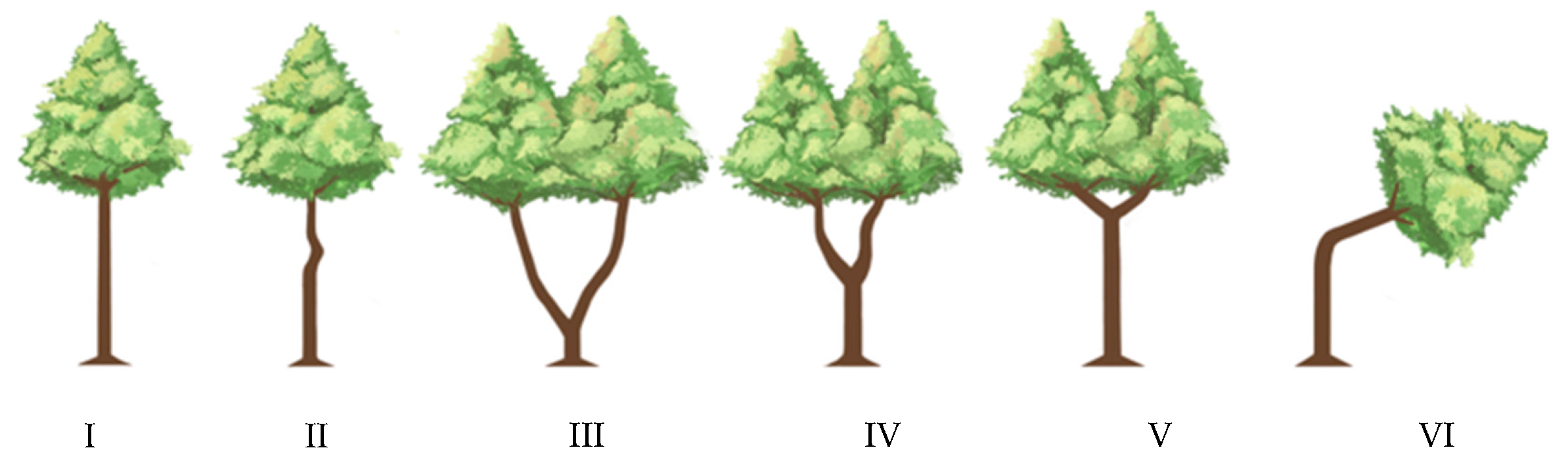 Forests 12 00458 g002 Forests 12 00458 g002