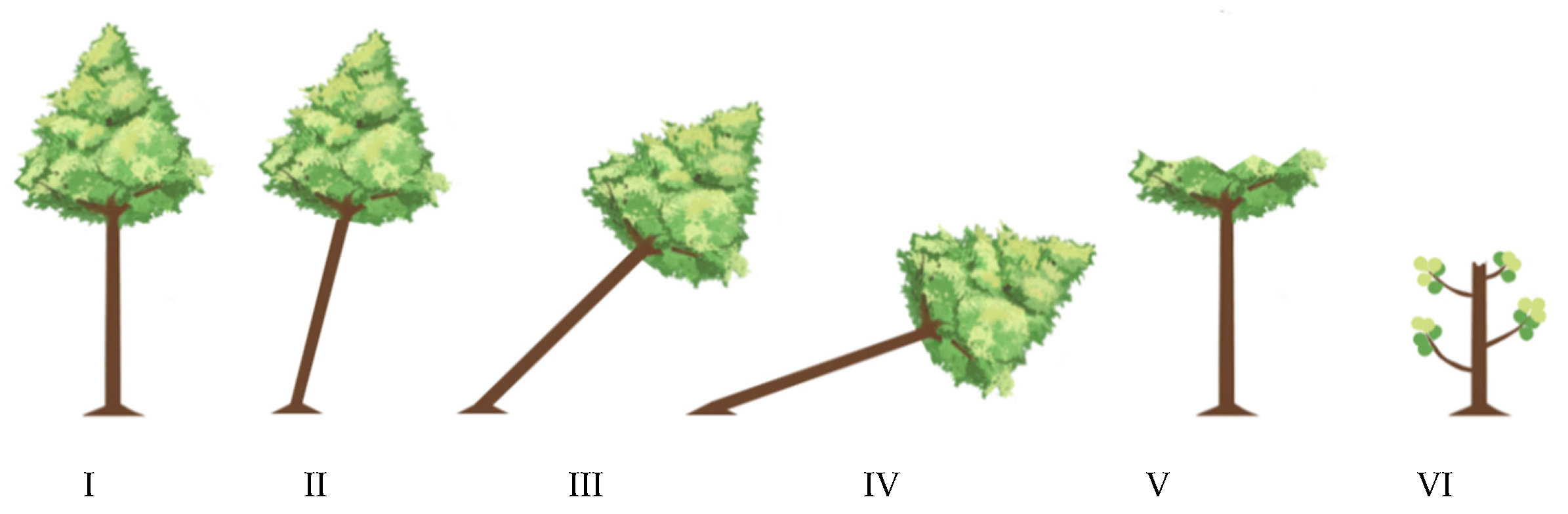 Forests 12 00458 g003 Forests 12 00458 g003