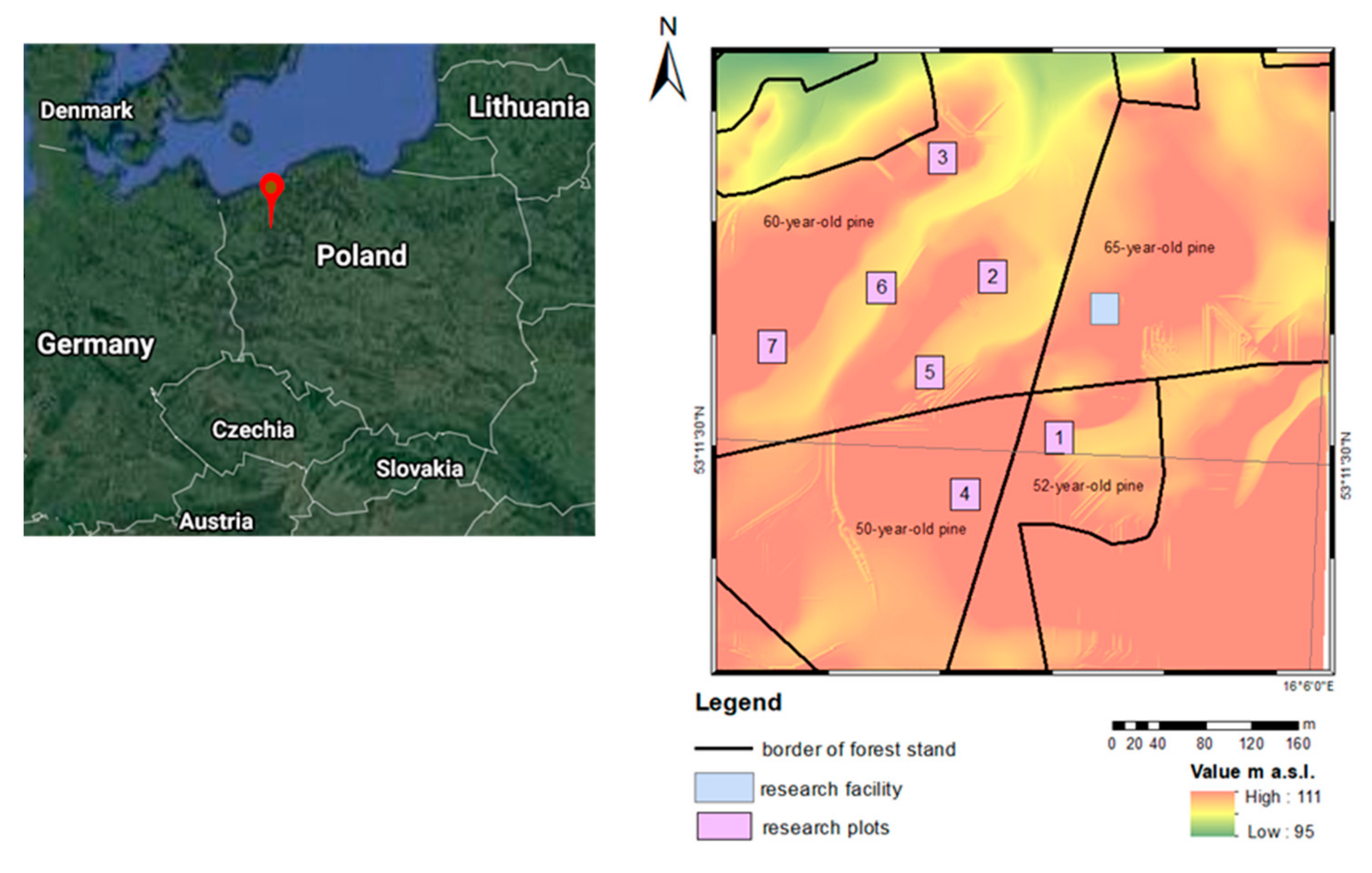 Forests 12 00459 g001 Forests 12 00459 g001