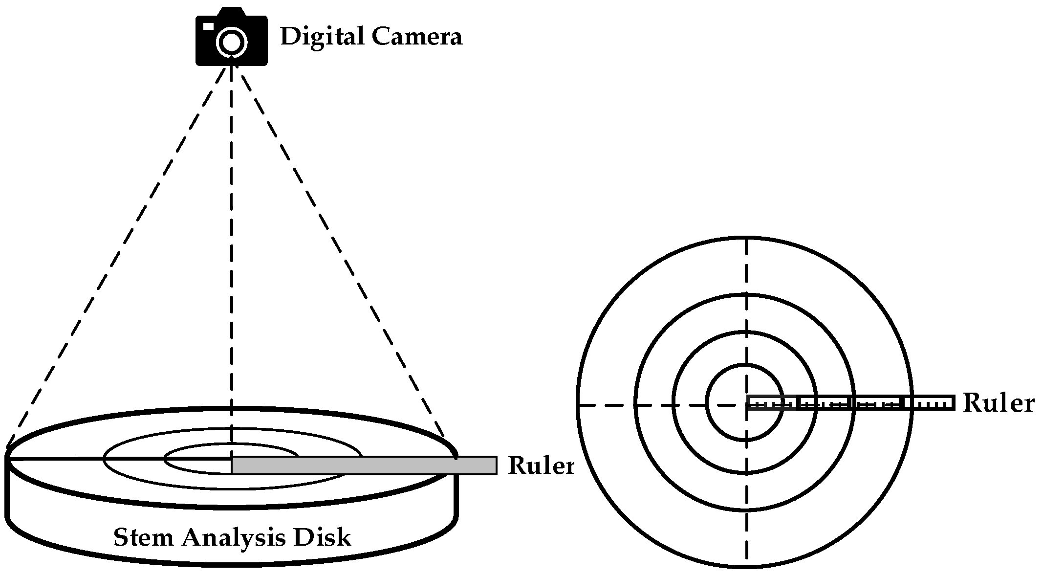 Forests 12 00464 g002 Forests 12 00464 g002