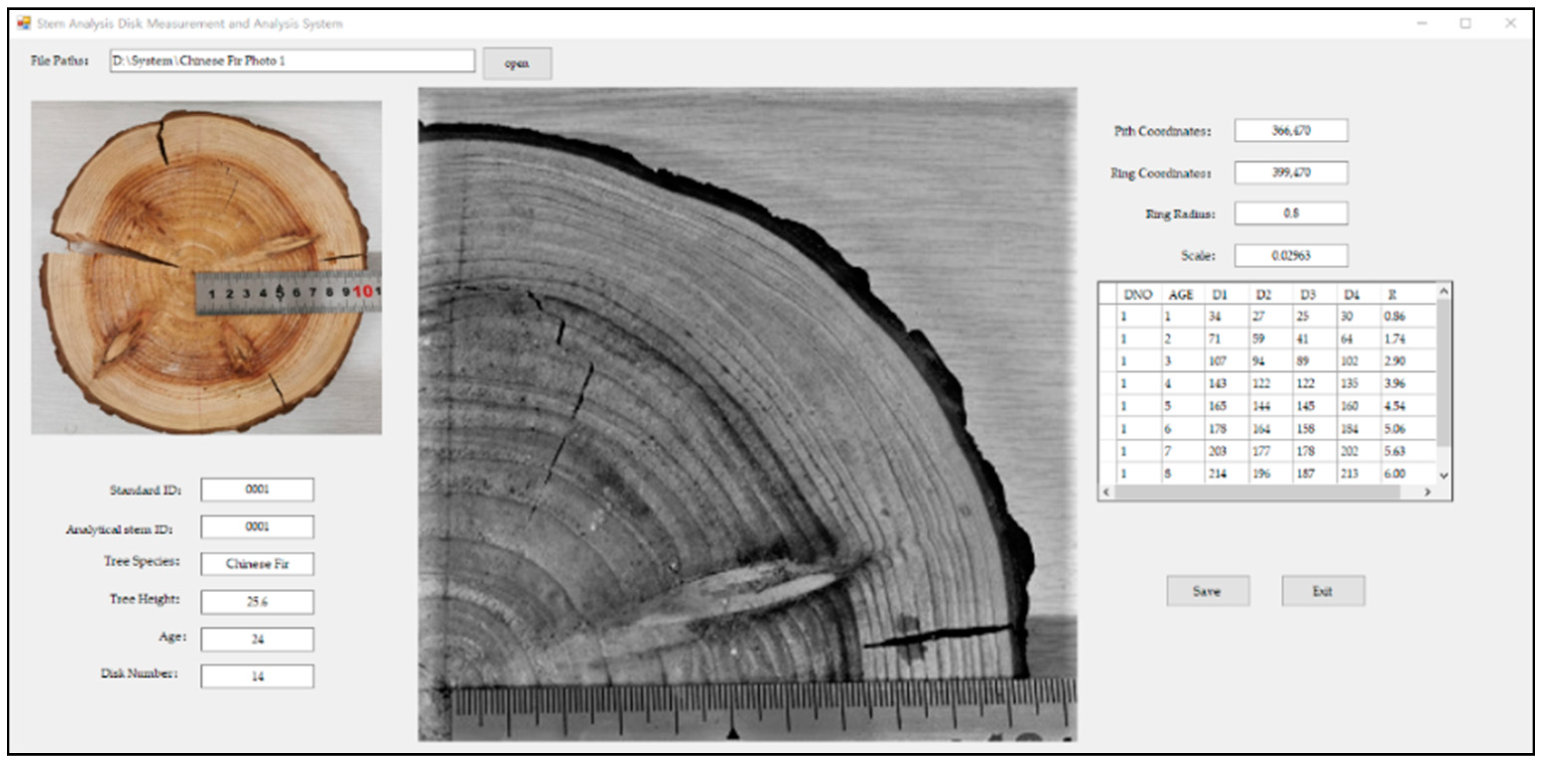 Measuring best sale tree rings