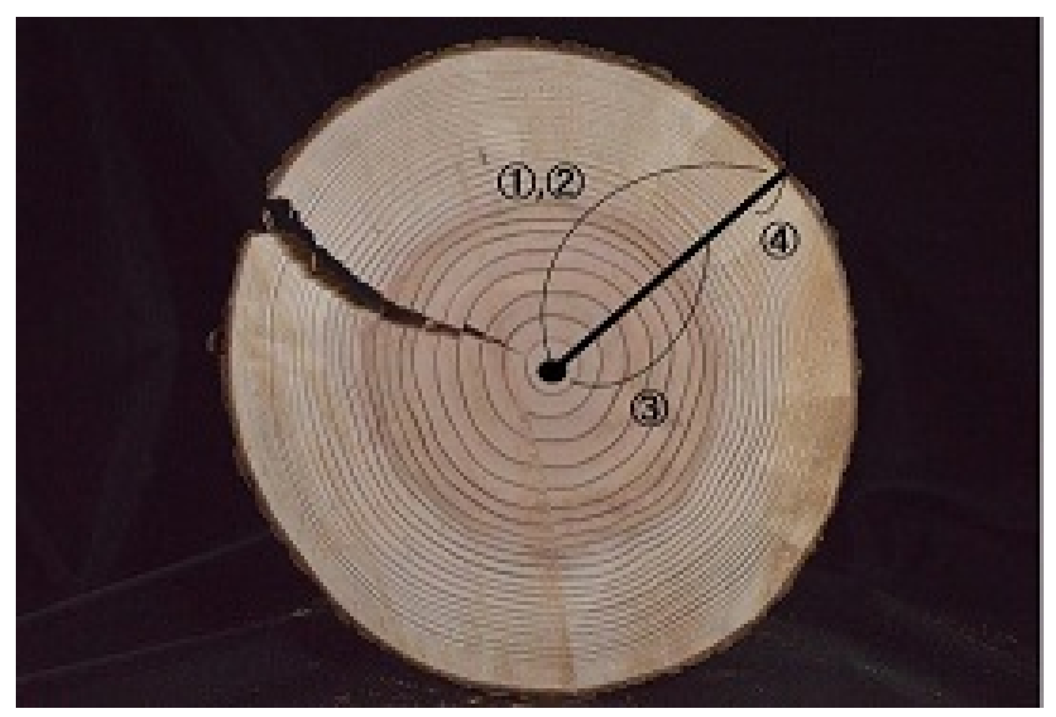 Forests 12 00466 g004 Forests 12 00466 g004