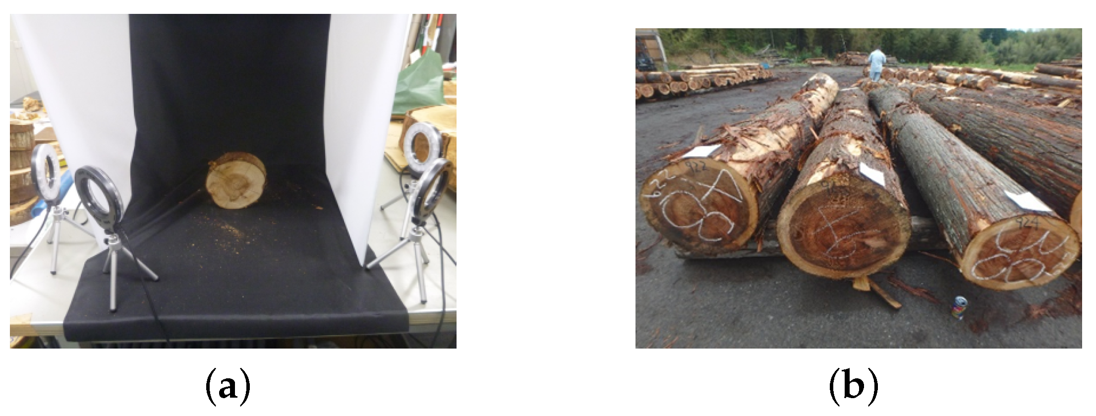 Forests 12 00466 g006 Forests 12 00466 g006