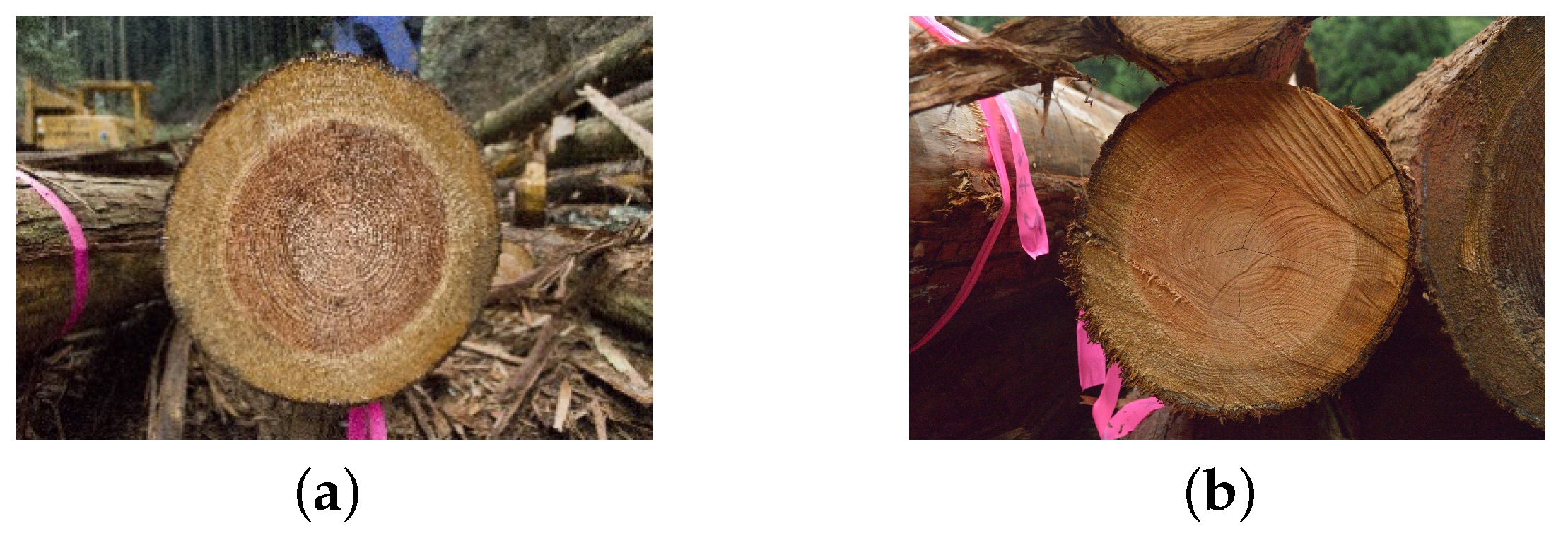 Forests 12 00466 g009 Forests 12 00466 g009