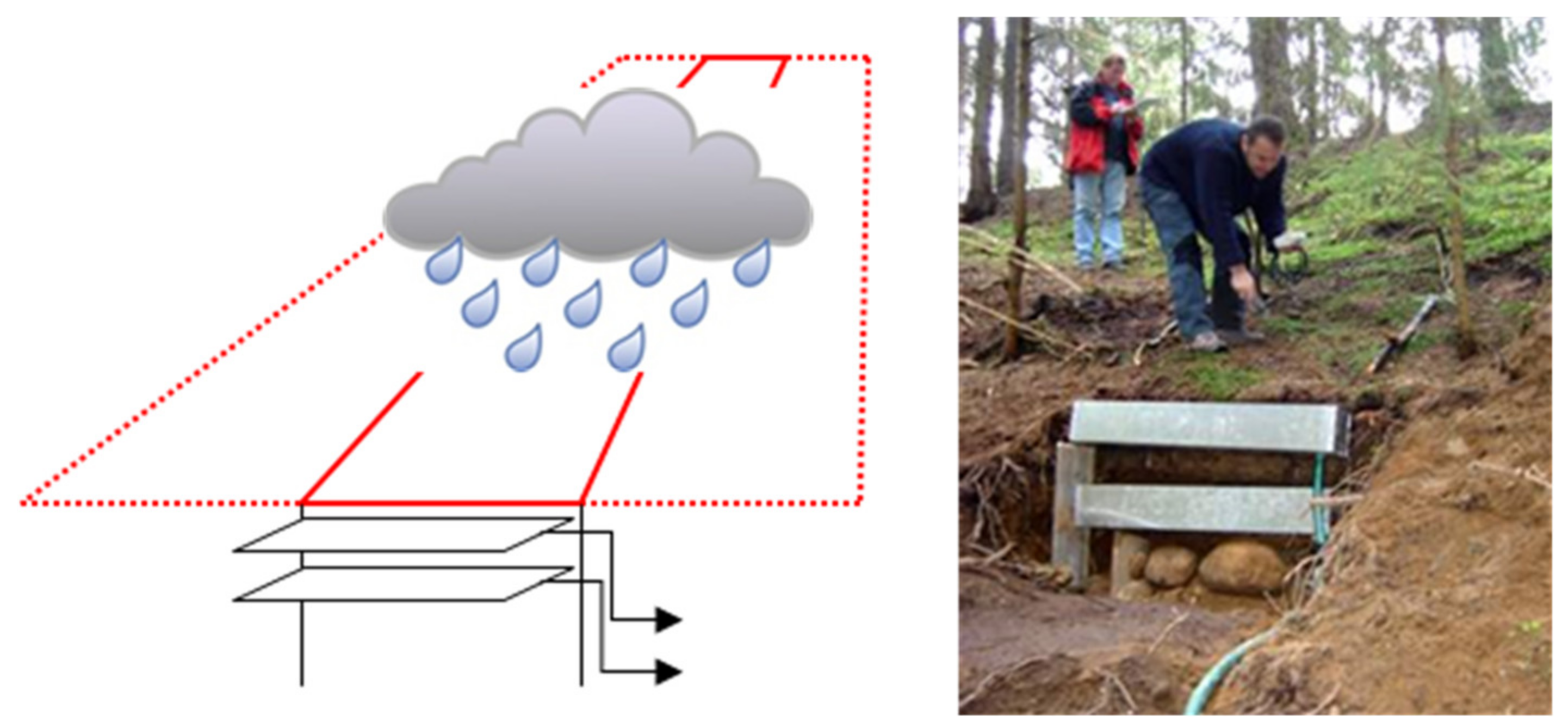 Forests 12 00472 g002 Forests 12 00472 g002