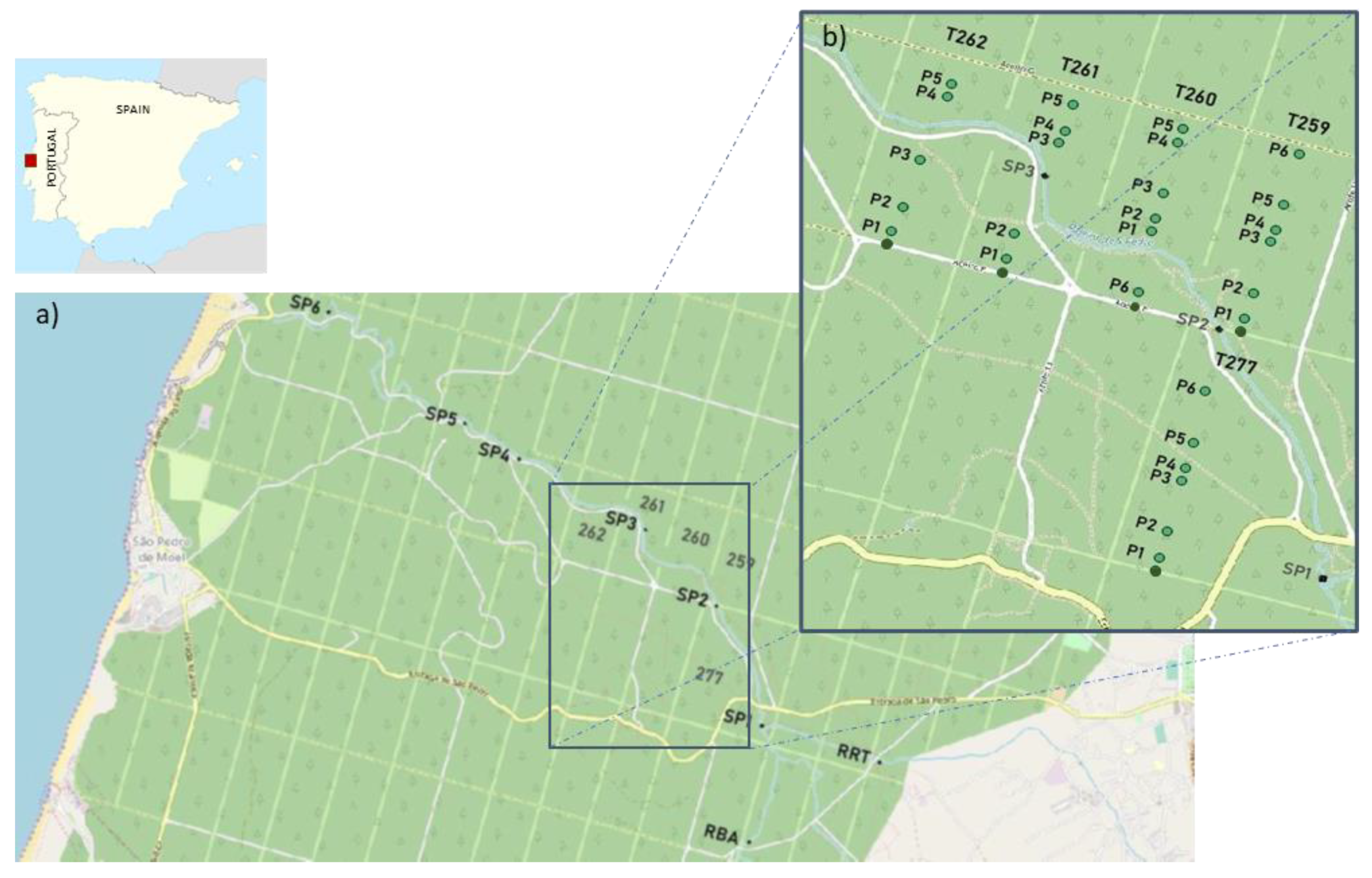 Forests 12 00477 g001 Forests 12 00477 g001