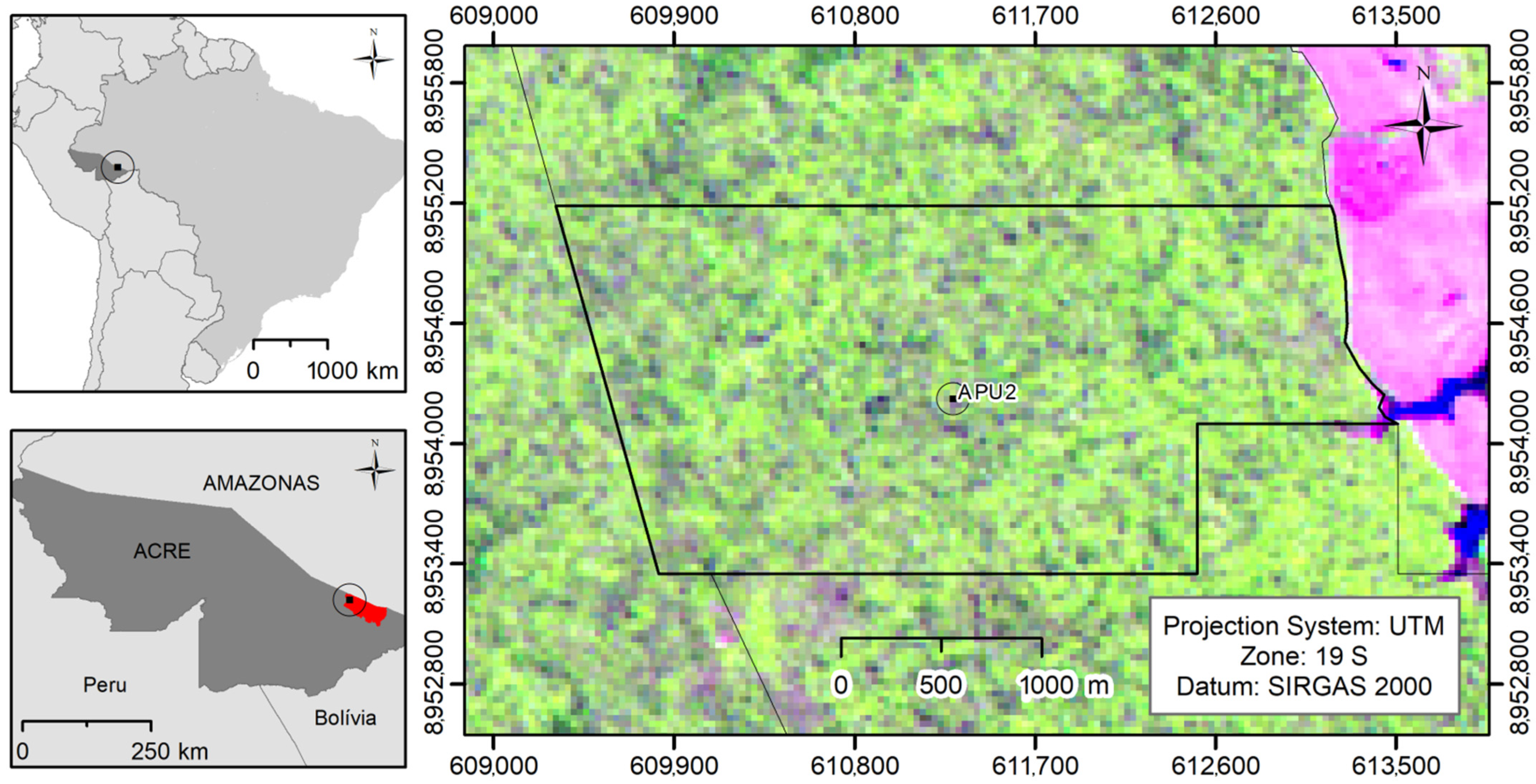 Forests 12 00481 g001