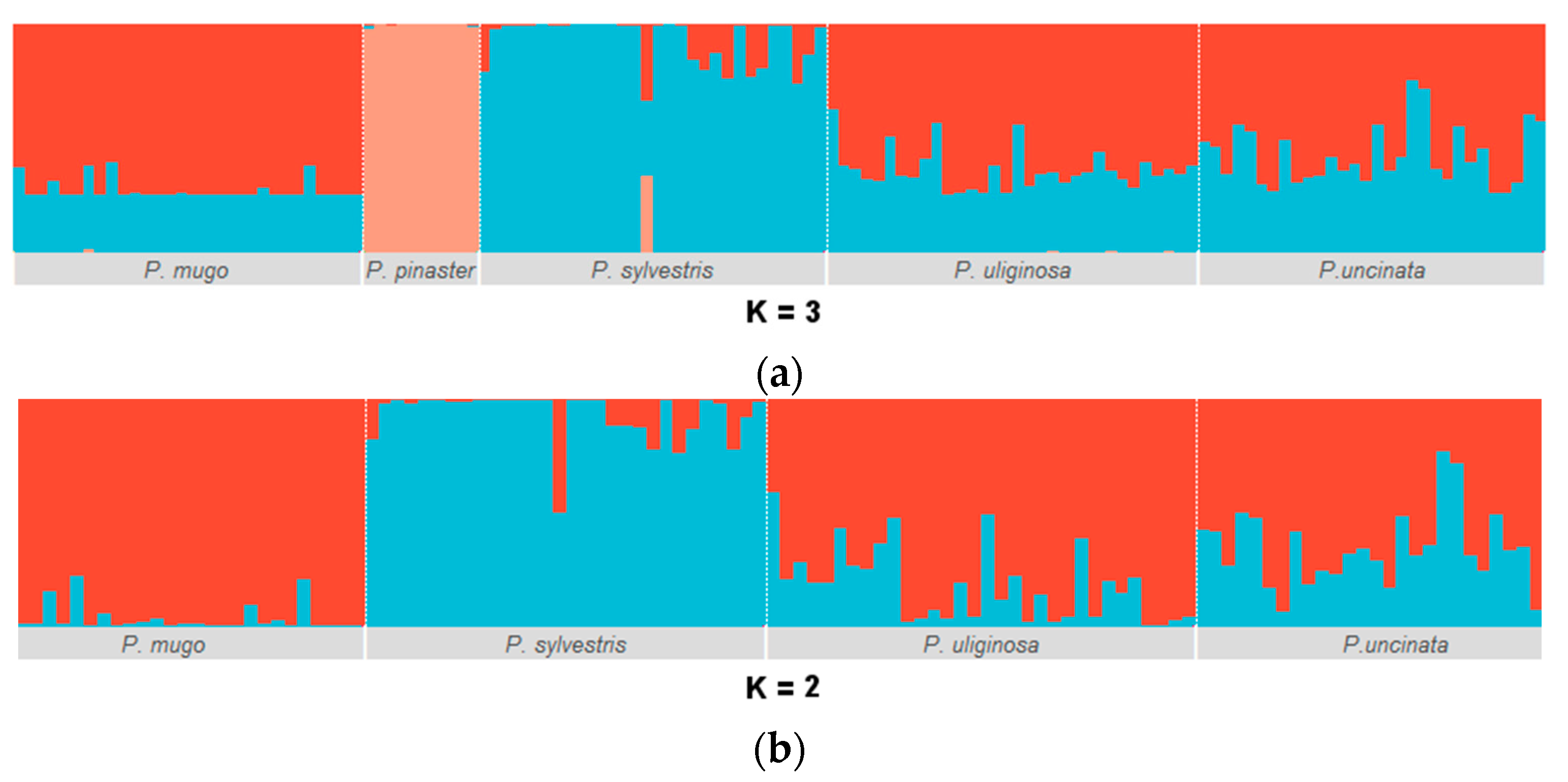 Forests 12 00489 g003 Forests 12 00489 g003