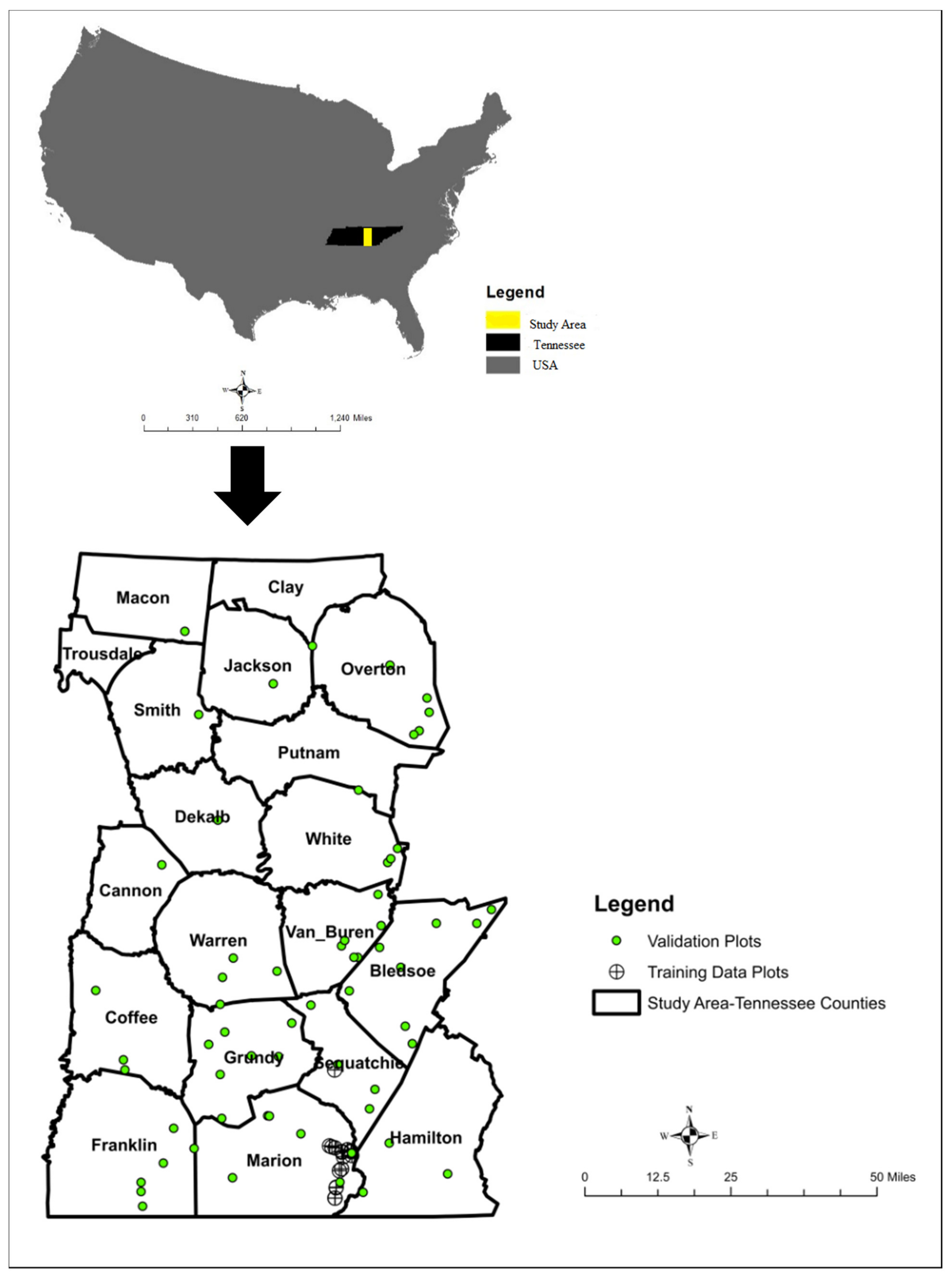 Forests 12 00499 g001