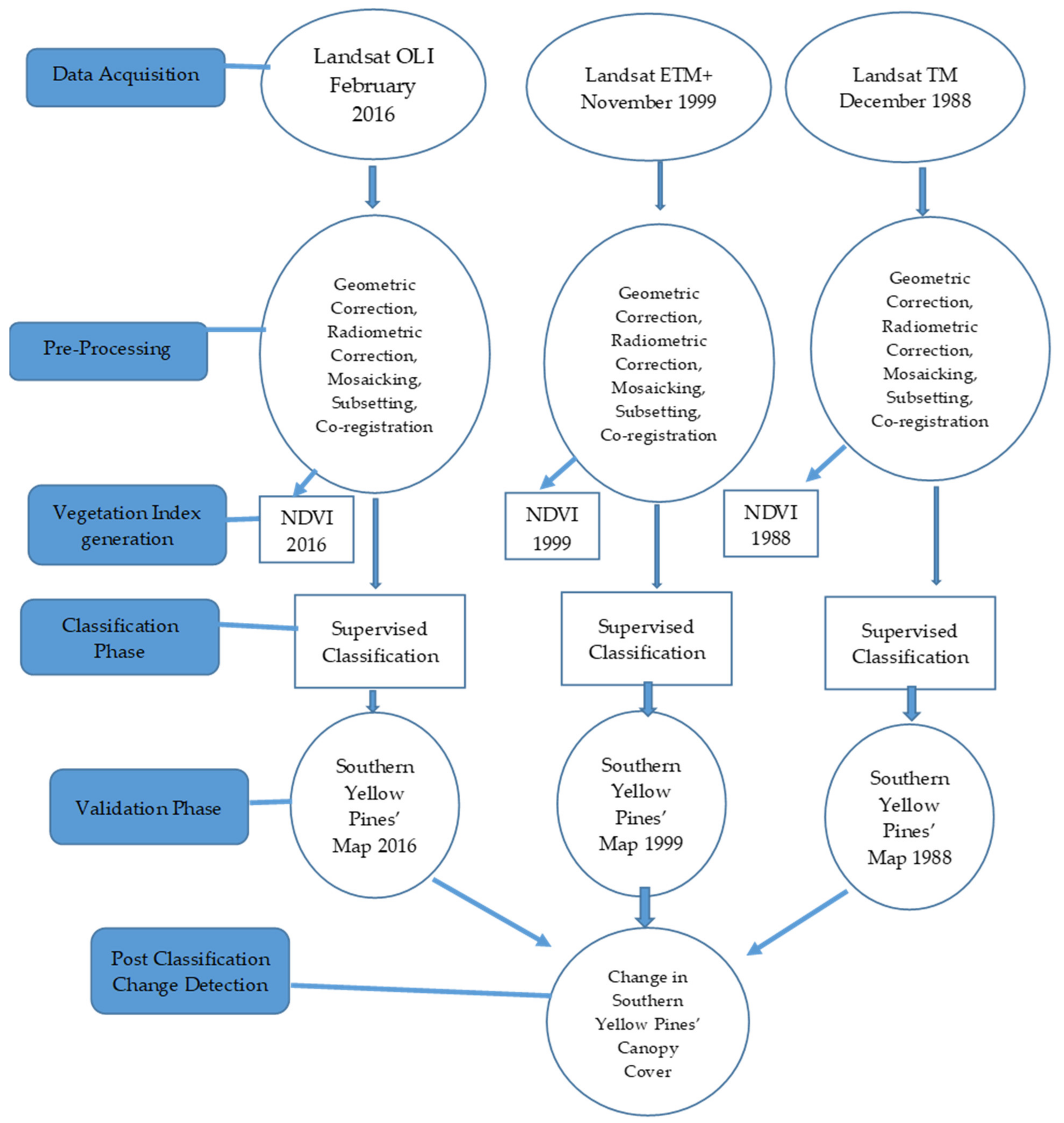 Forests 12 00499 g002