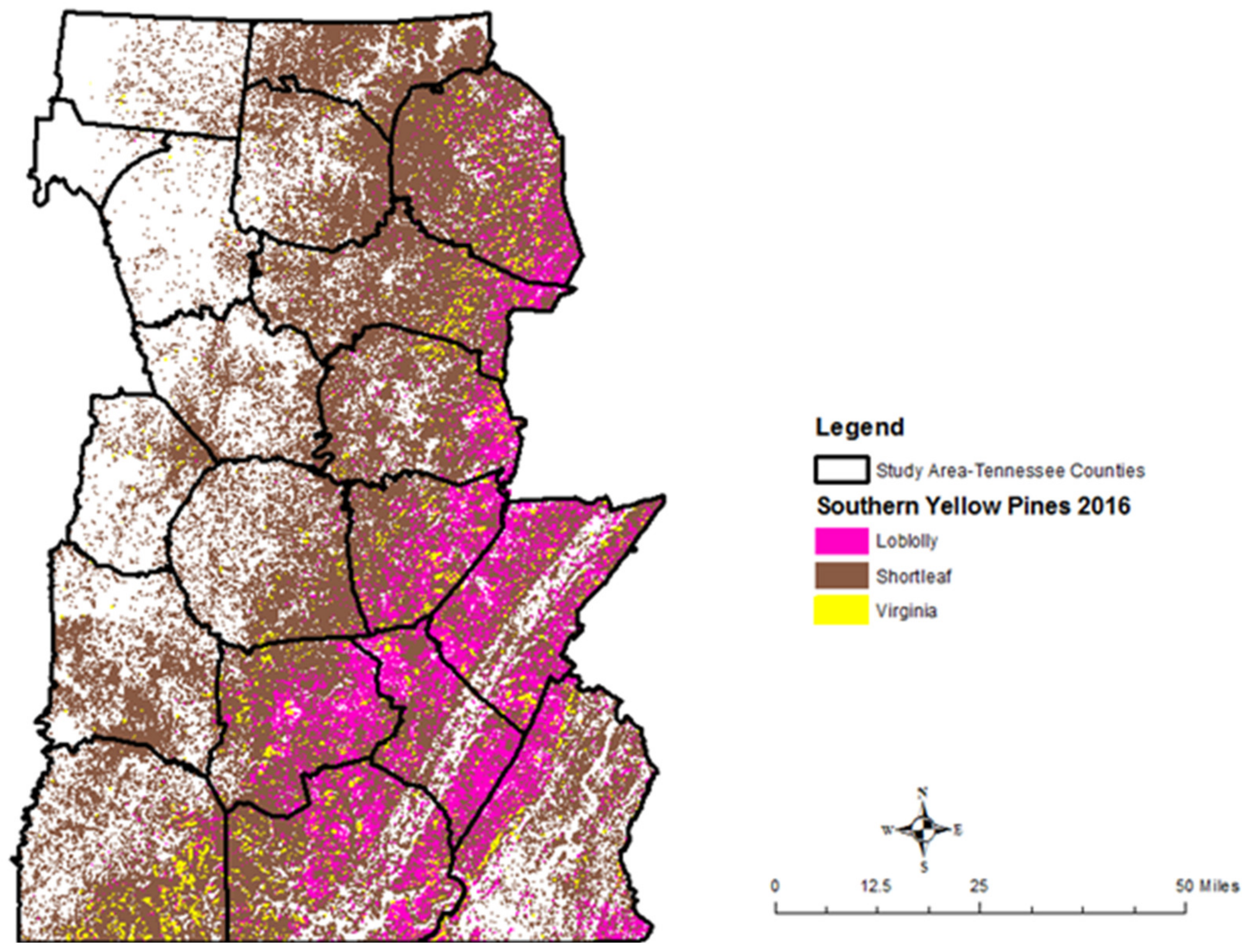 Forests 12 00499 g003