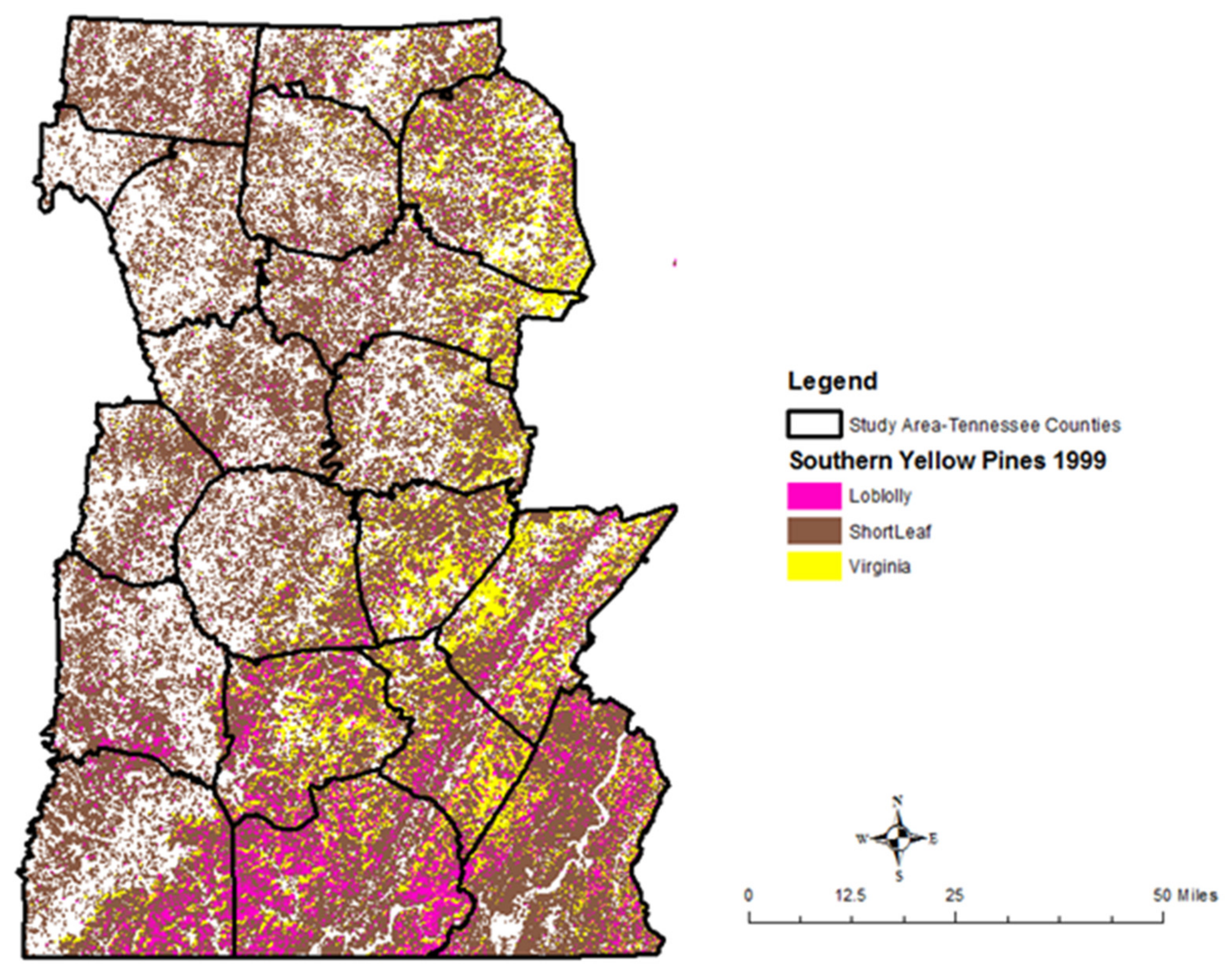 Forests 12 00499 g004