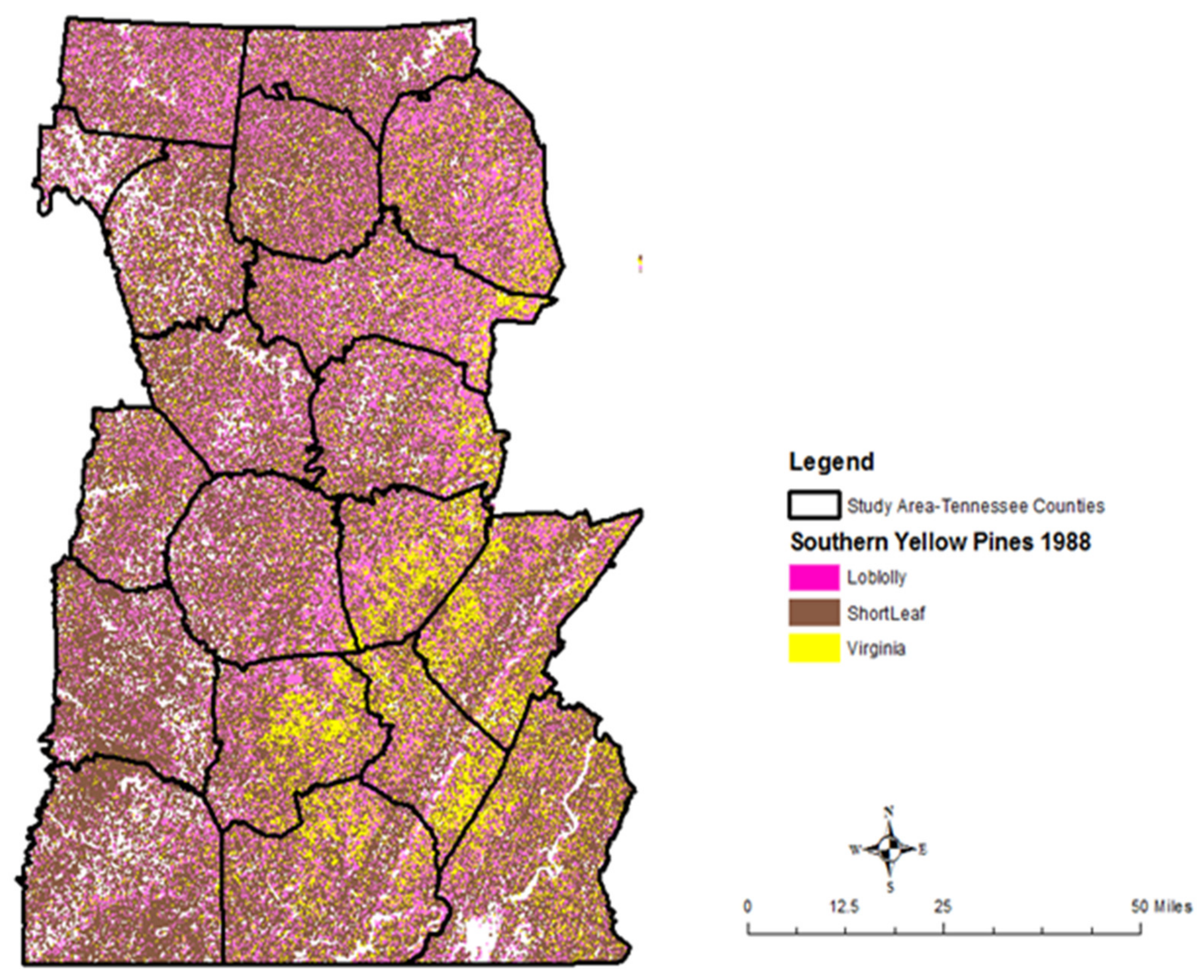 Forests 12 00499 g005