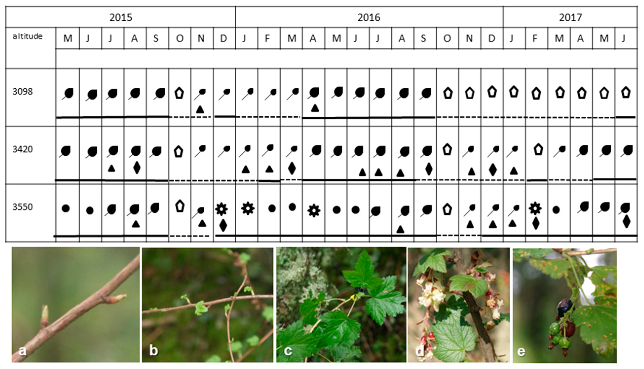 Forests 12 00506 g003 Forests 12 00506 g003