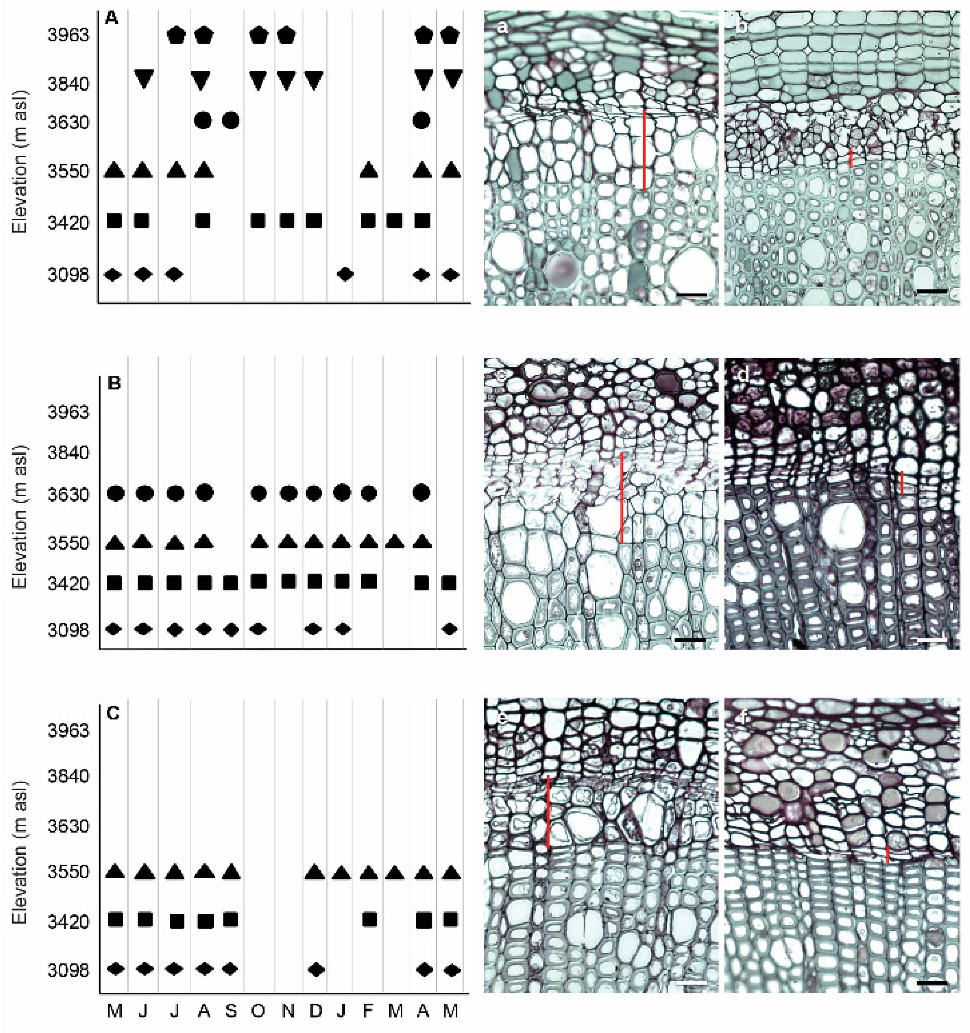 Forests 12 00506 g004 Forests 12 00506 g004